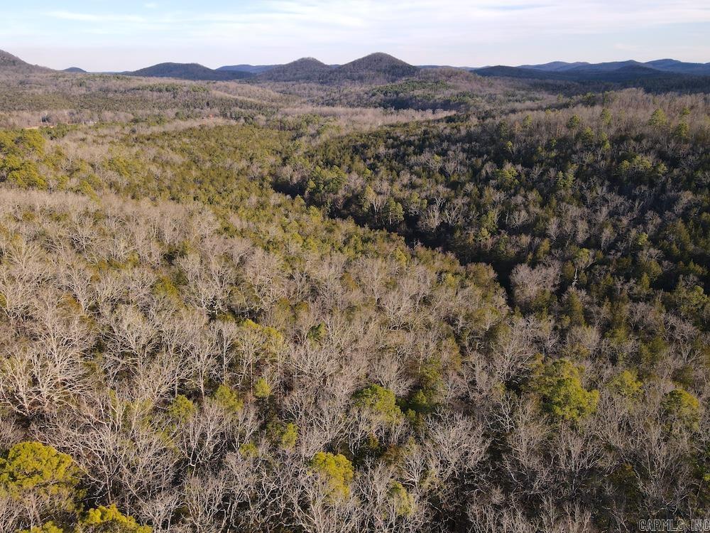 738 Sunnyland Road  Calico Rock, AR