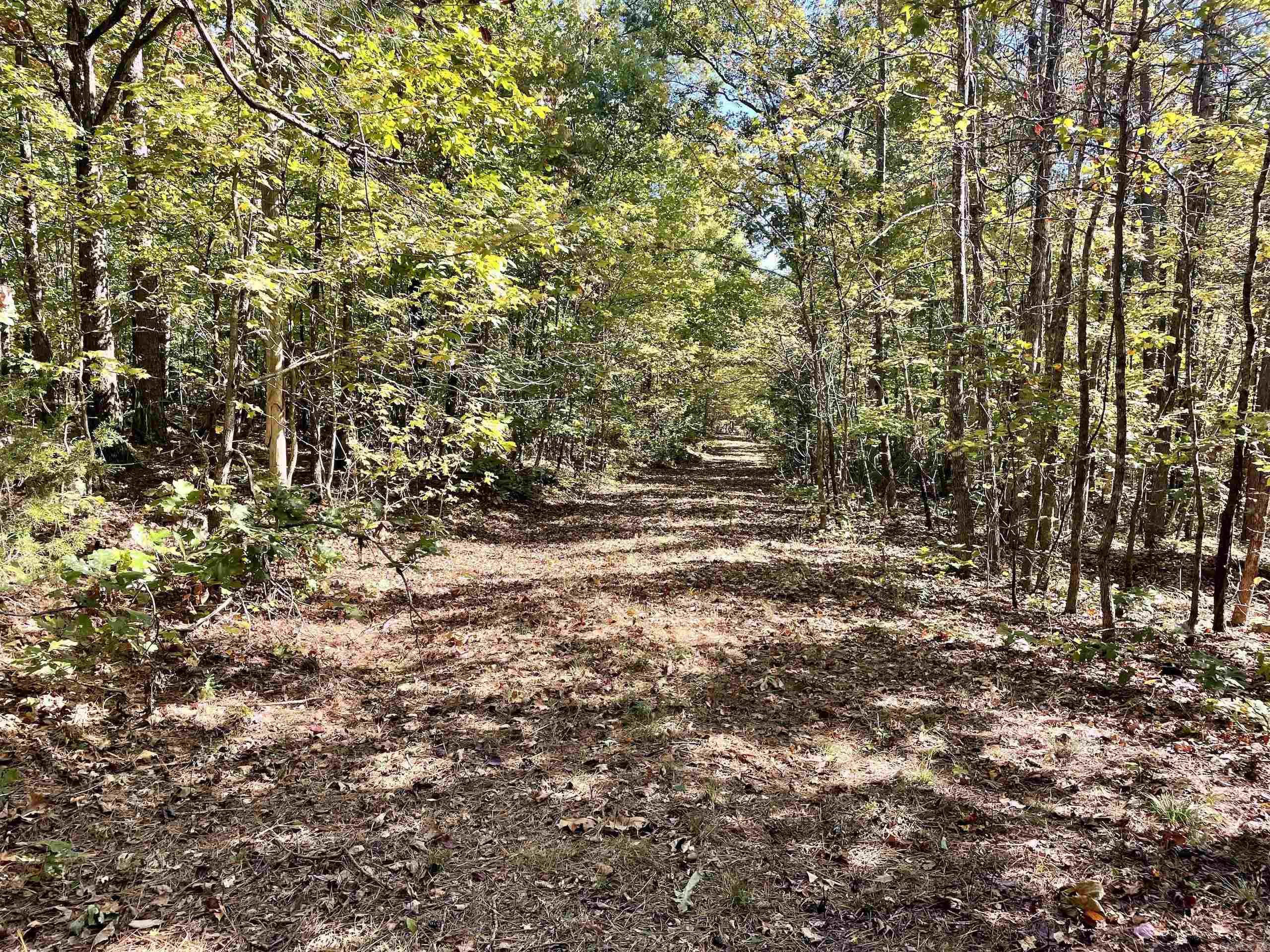 000 Pumpkin Center  Clinton, AR