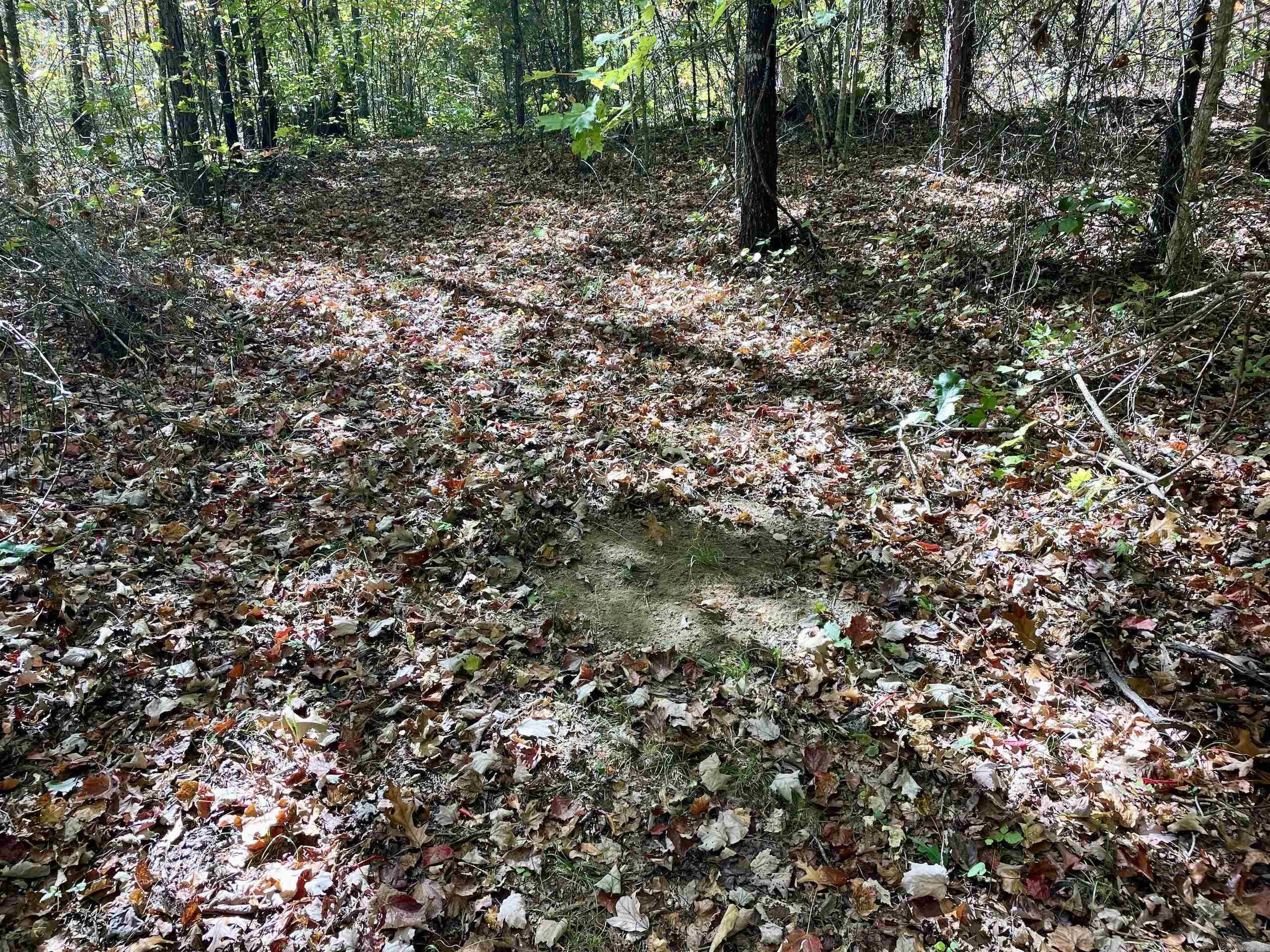 000 Pumpkin Center  Clinton, AR