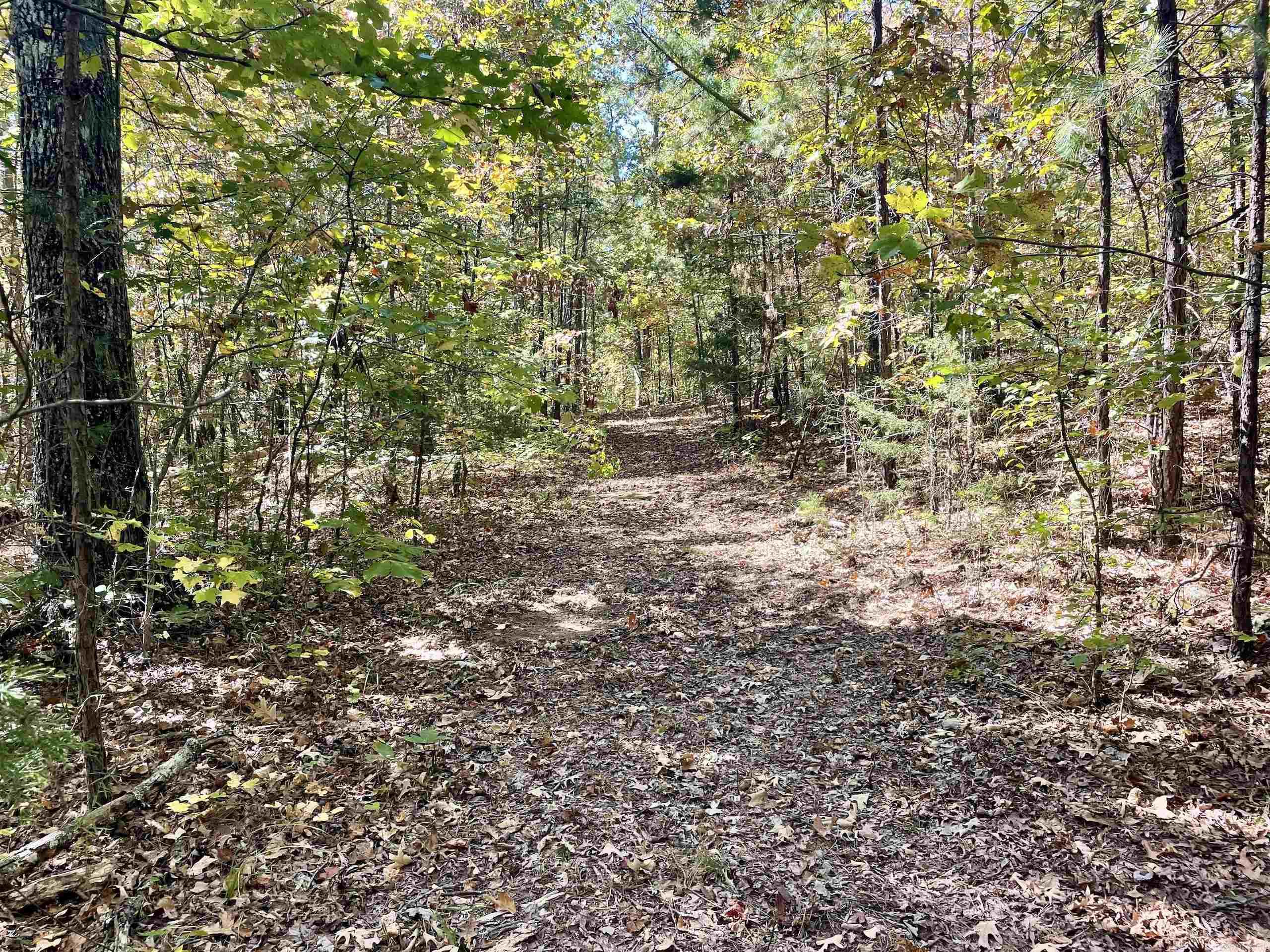 000 Pumpkin Center  Clinton, AR