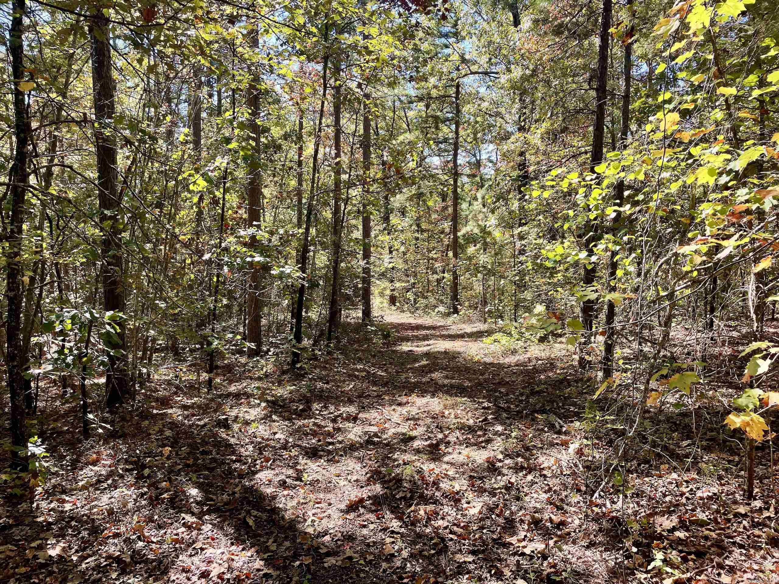 000 Pumpkin Center  Clinton, AR