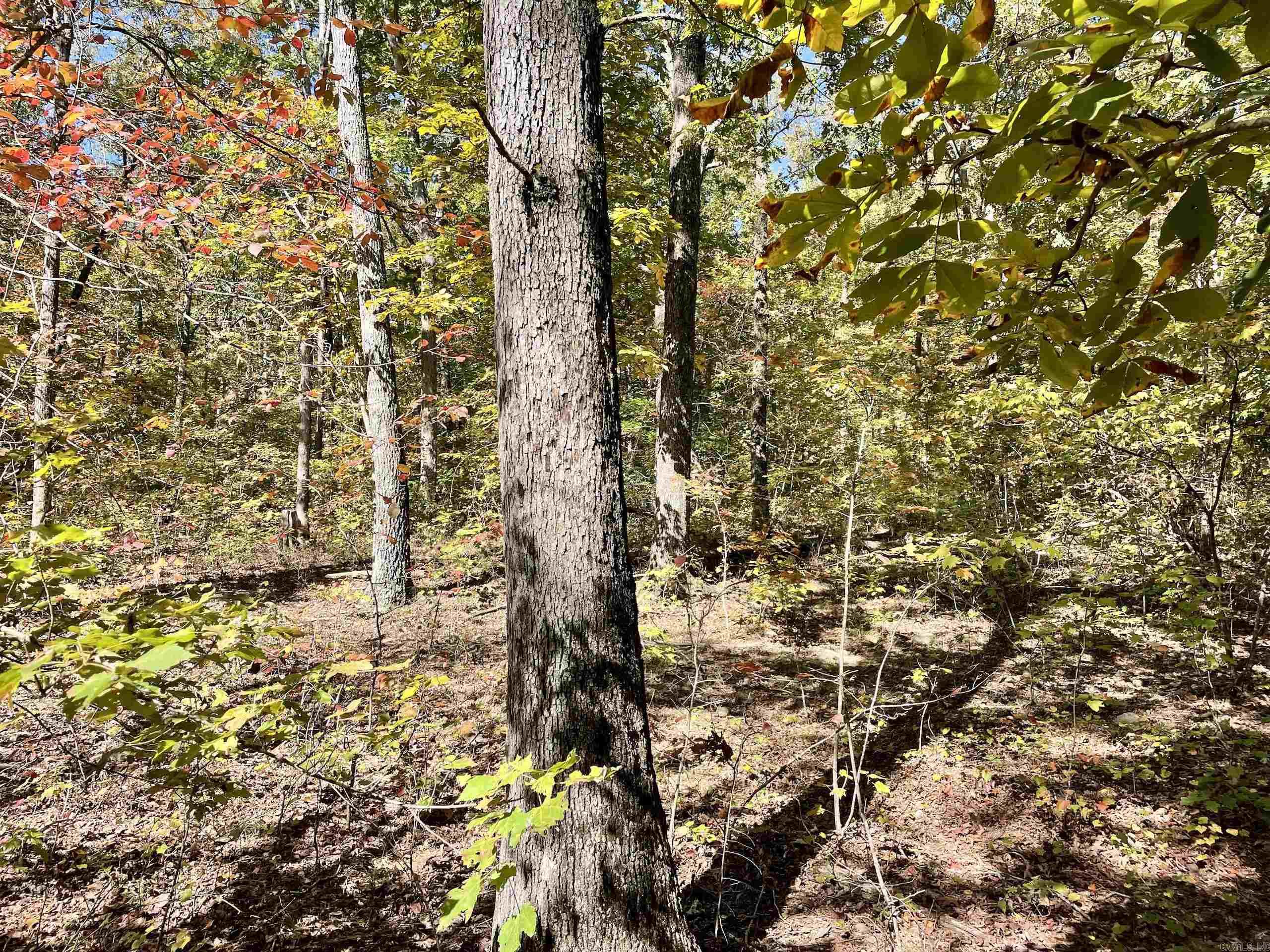 000 Pumpkin Center  Clinton, AR