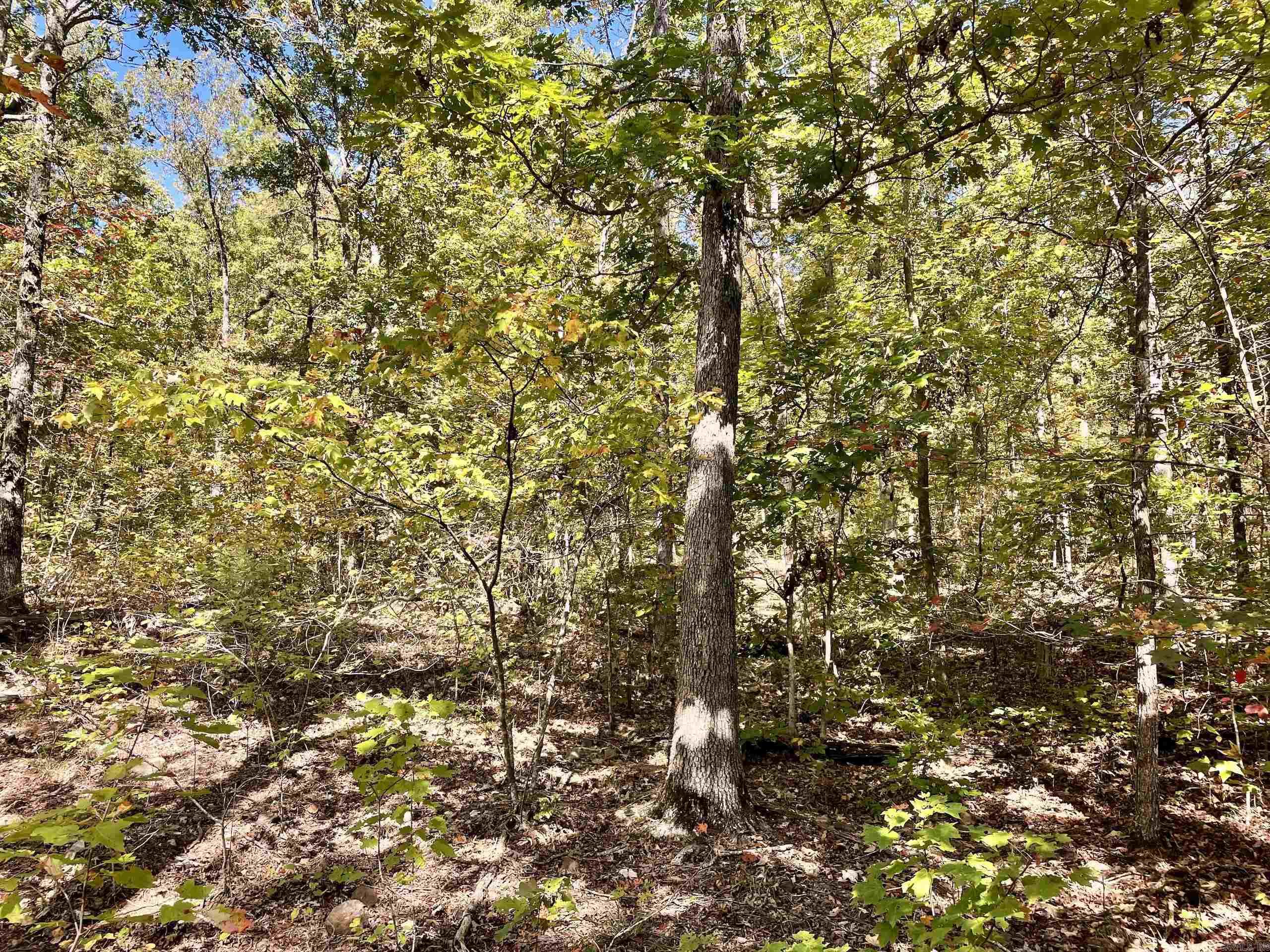 000 Pumpkin Center  Clinton, AR