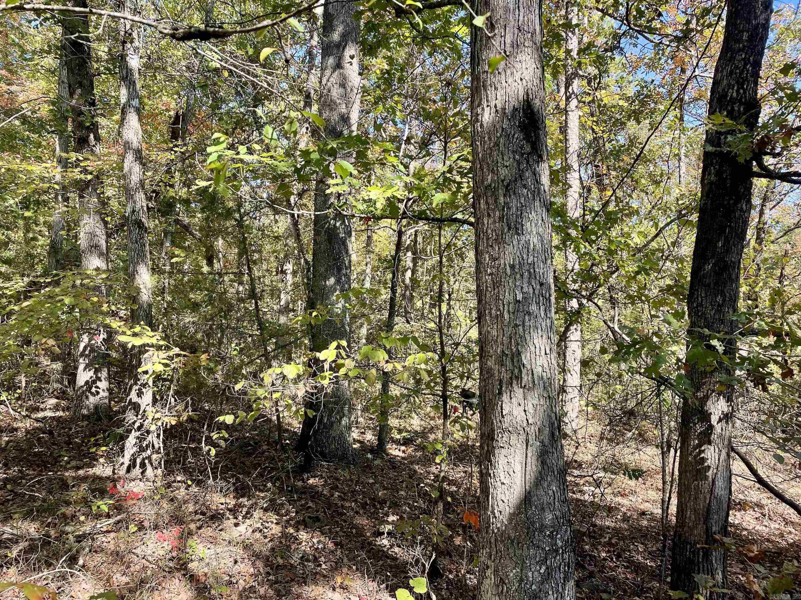 000 Pumpkin Center  Clinton, AR