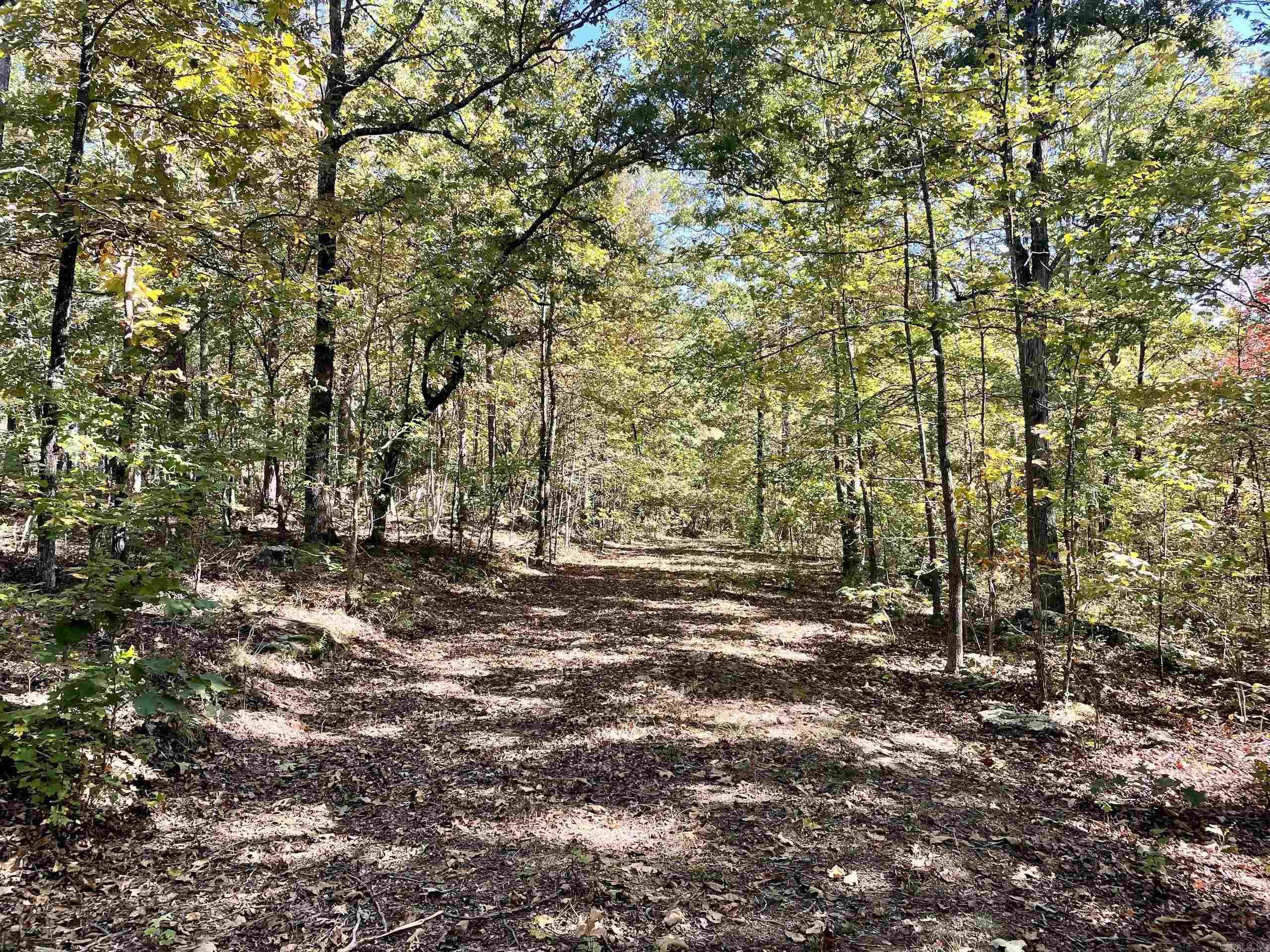 000 Pumpkin Center  Clinton, AR