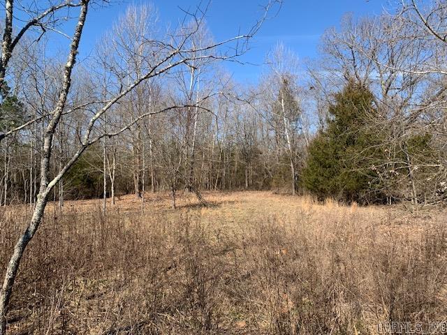 531 Peter Martin Hill  Cave City, AR