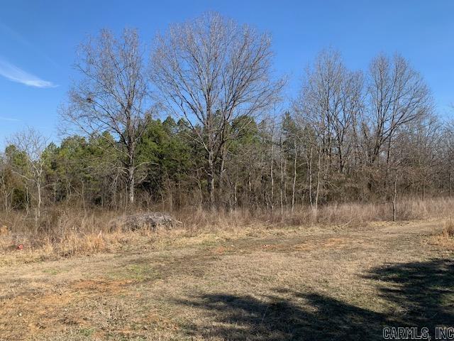 531 Peter Martin Hill  Cave City, AR