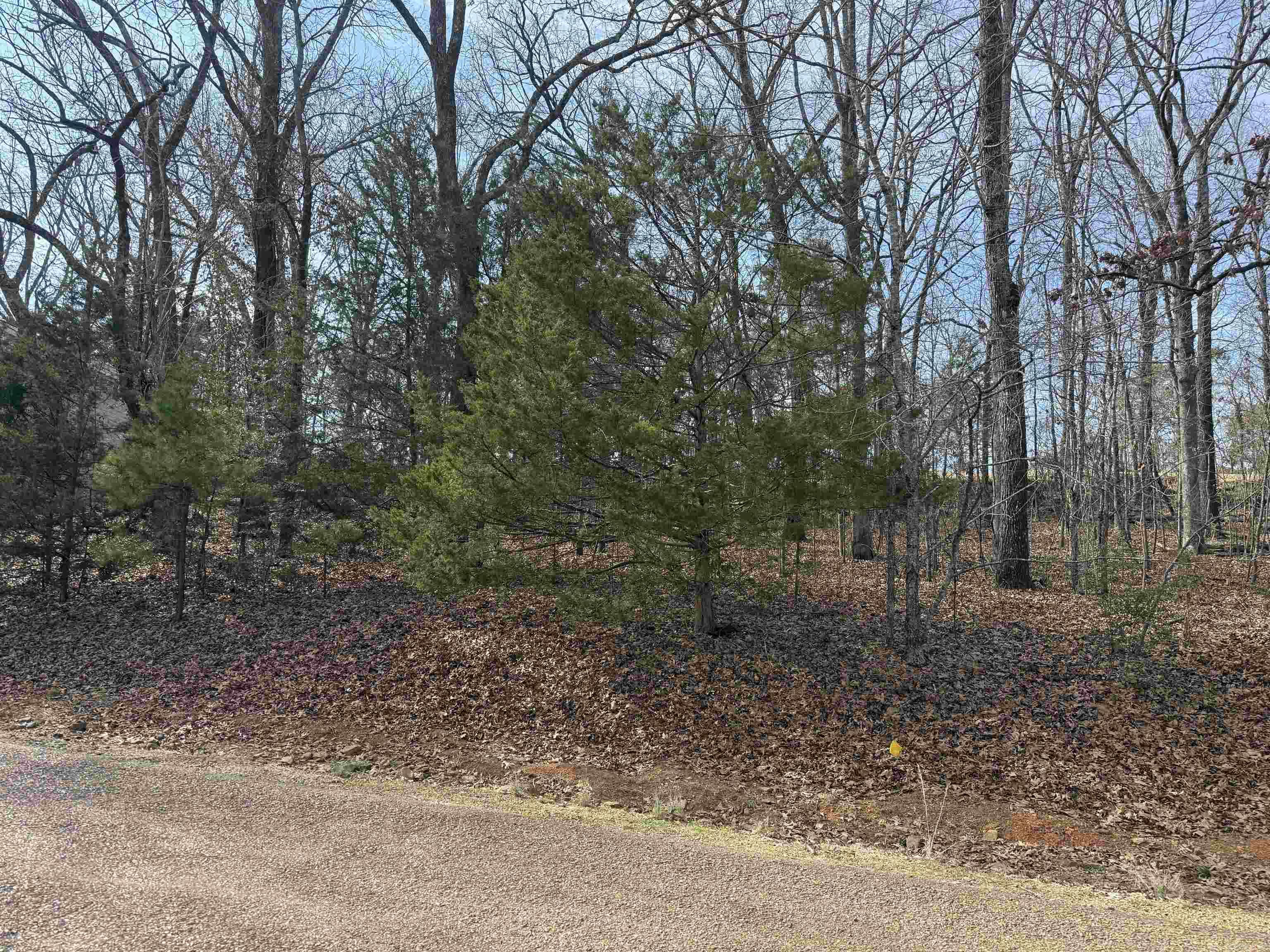 521 Birchbrook Rd  Heber Springs, AR