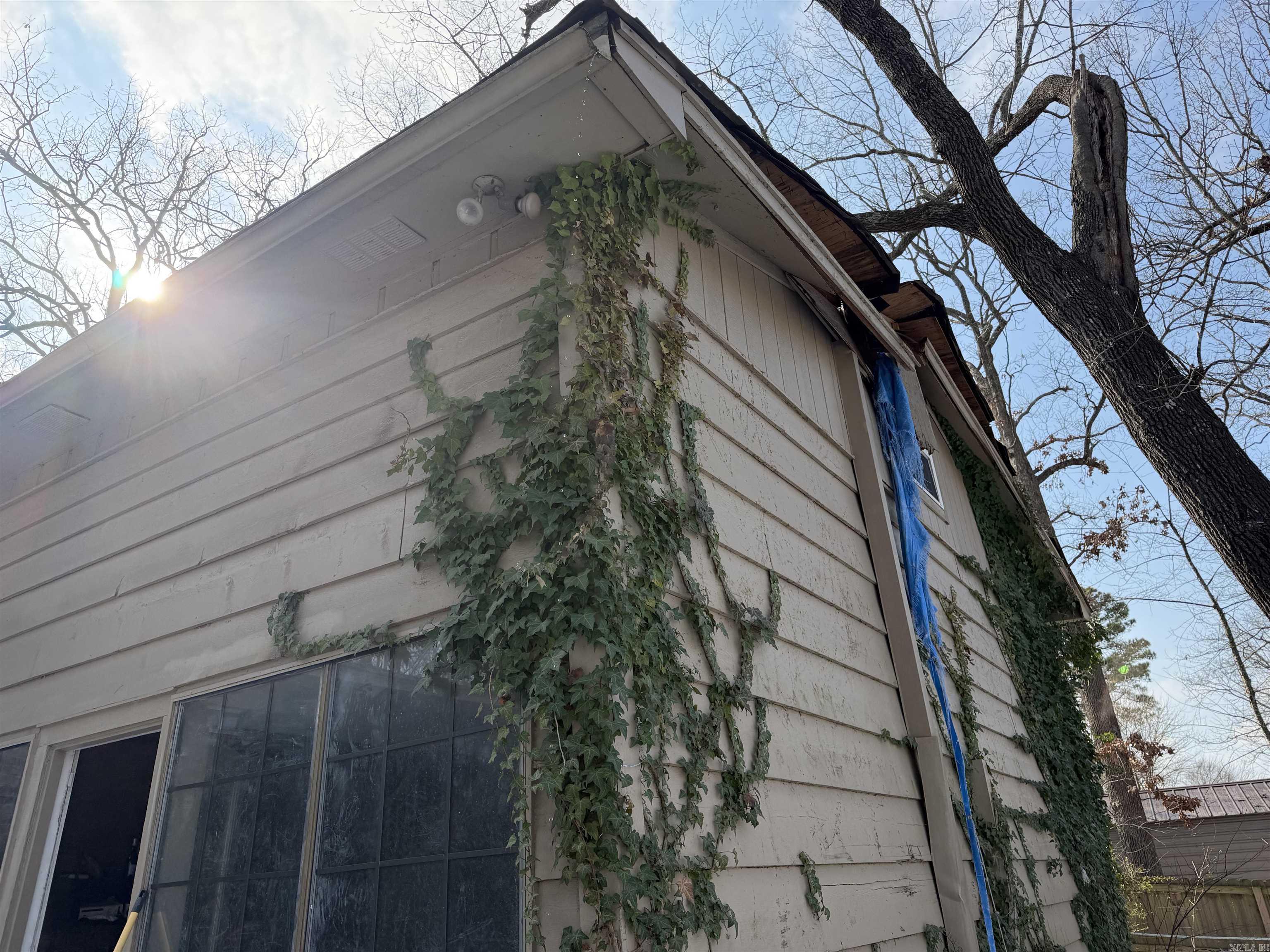 20 Lillie  Cabot, AR