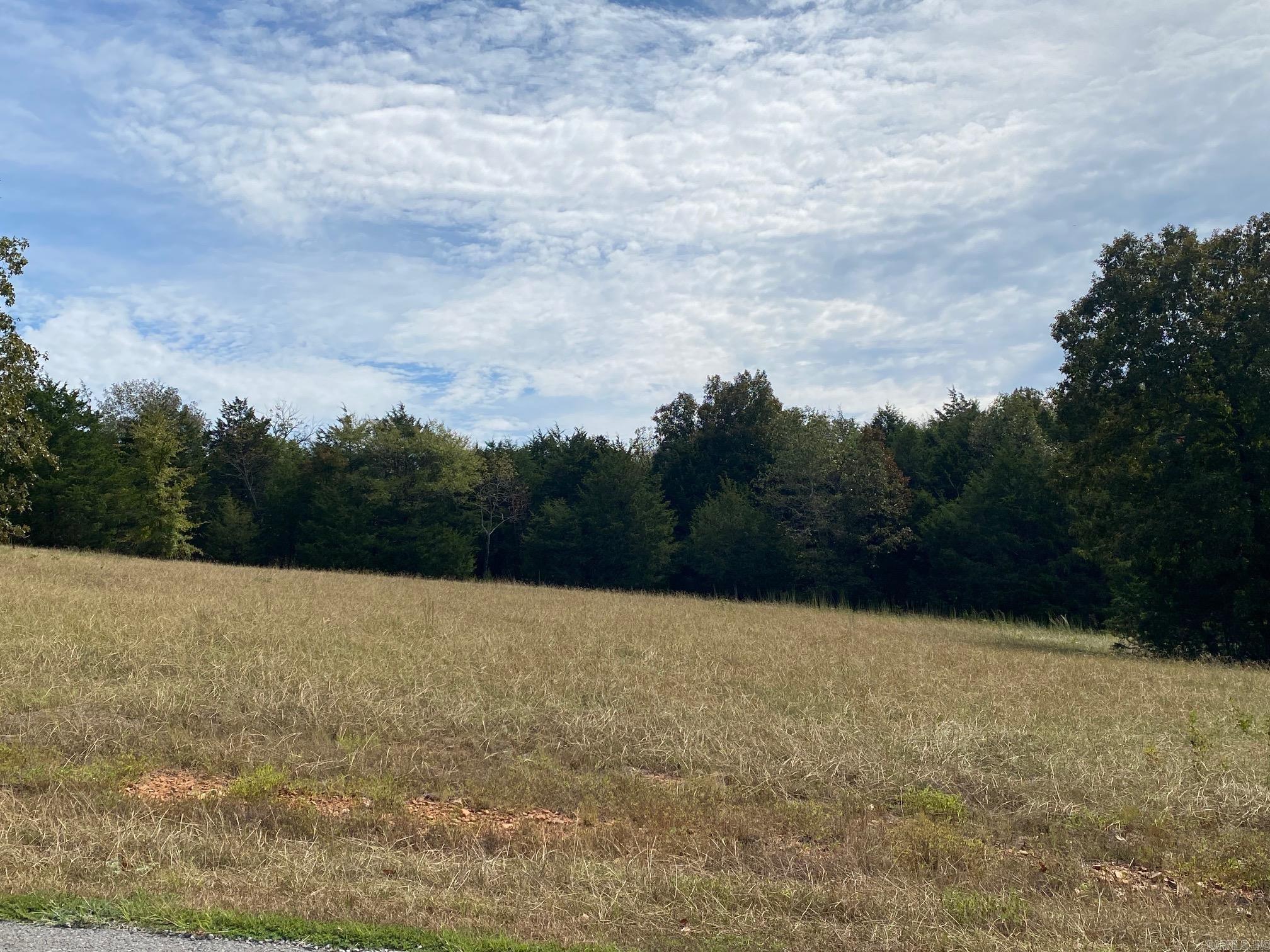 Lot 19 Castlepines Drive  Greenbrier, AR