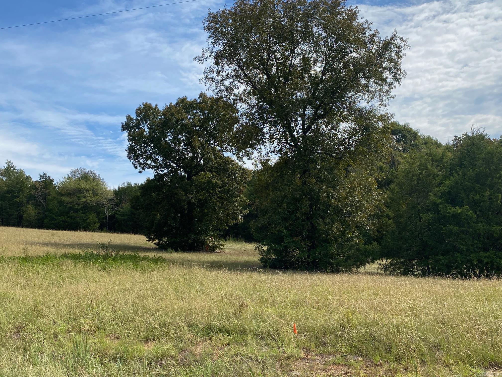 Lot 20 Castlepines Drive  Greenbrier, AR