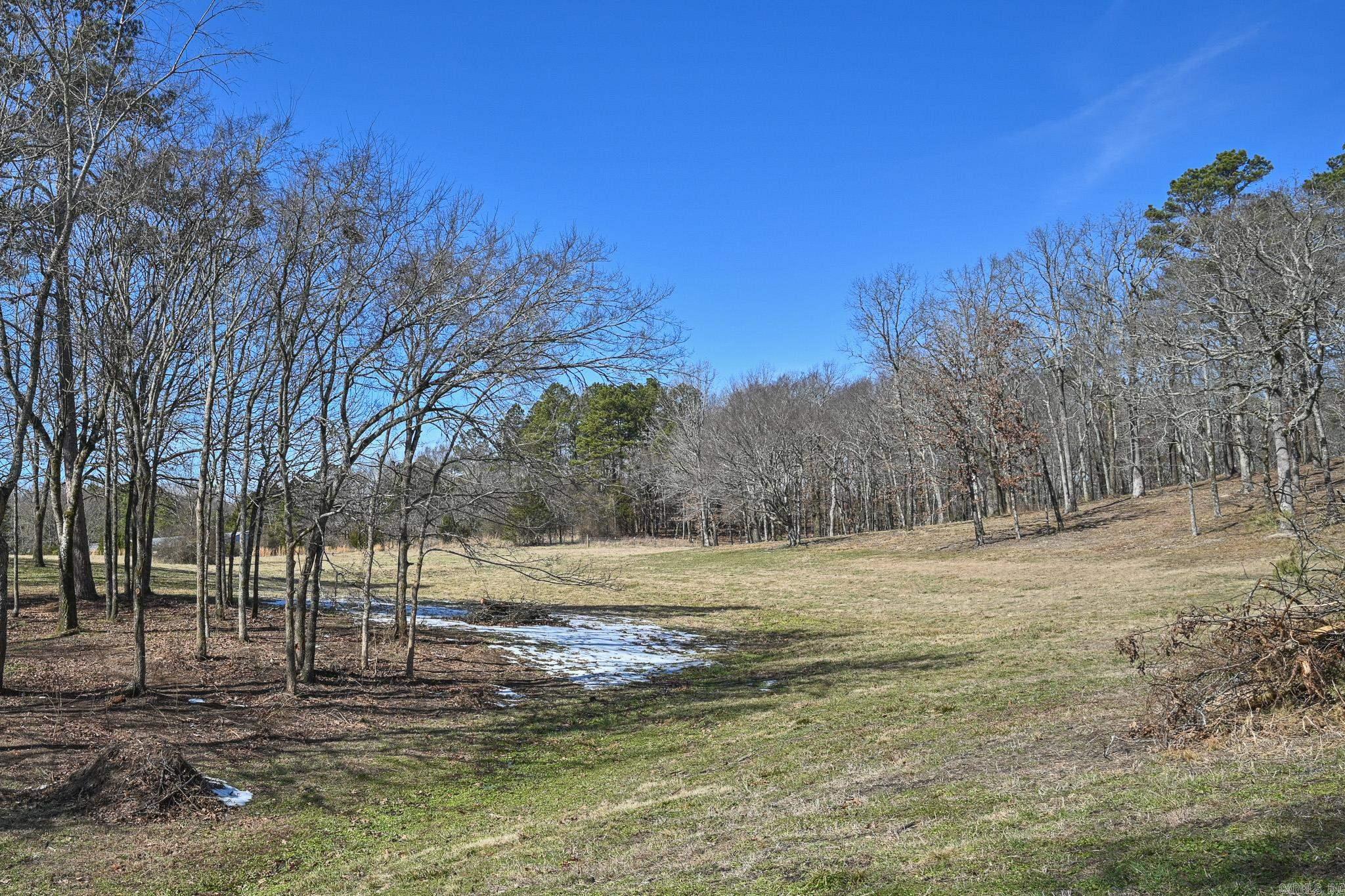 Lot #1 Polk Road 57  Mena, AR