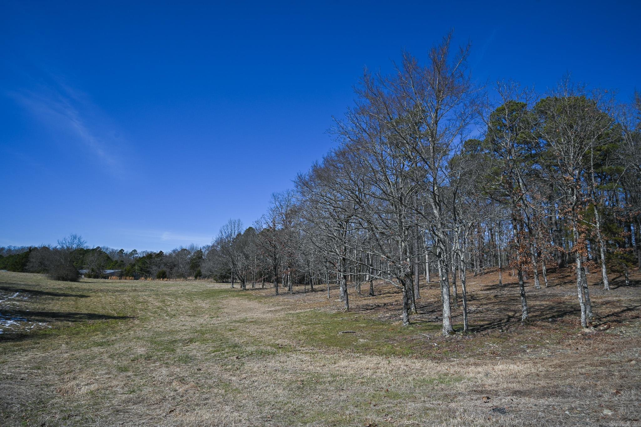 Lot #1 Polk Road 57  Mena, AR