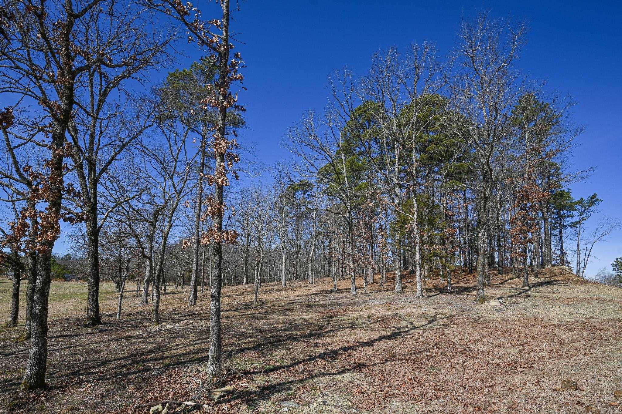 Lot #1 Polk Road 57  Mena, AR