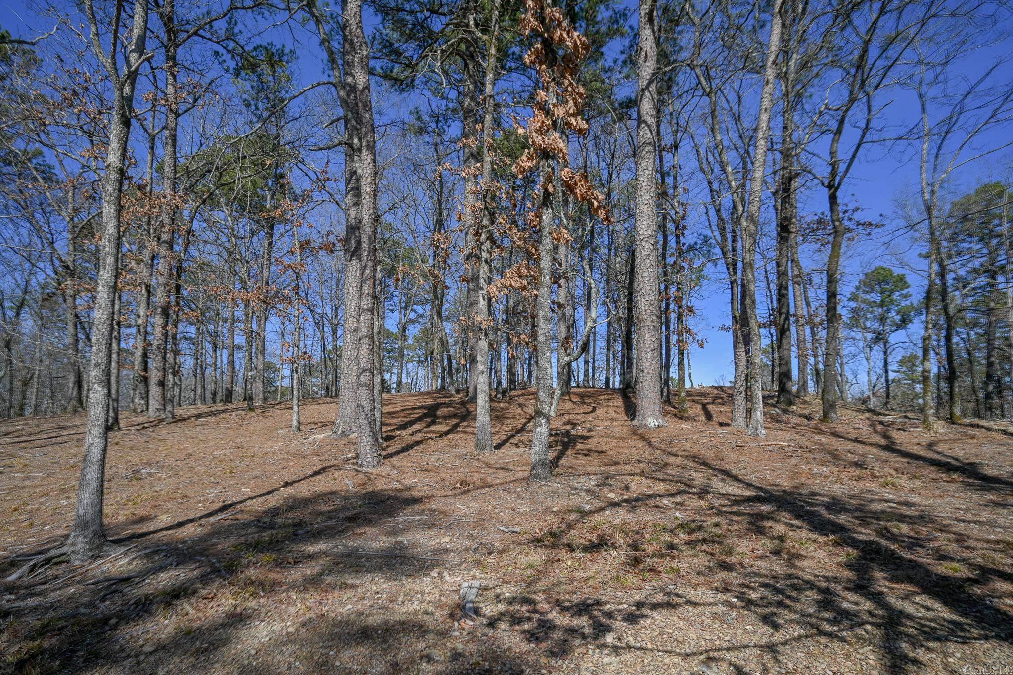 Lot #1 Polk Road 57  Mena, AR