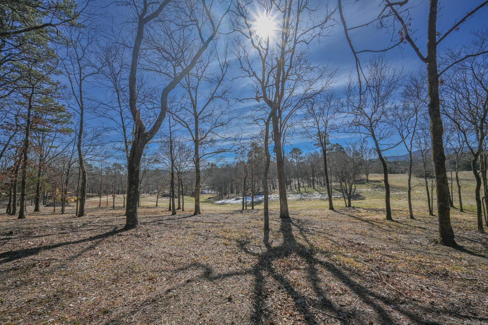 Lot #1 Polk Road 57  Mena, AR