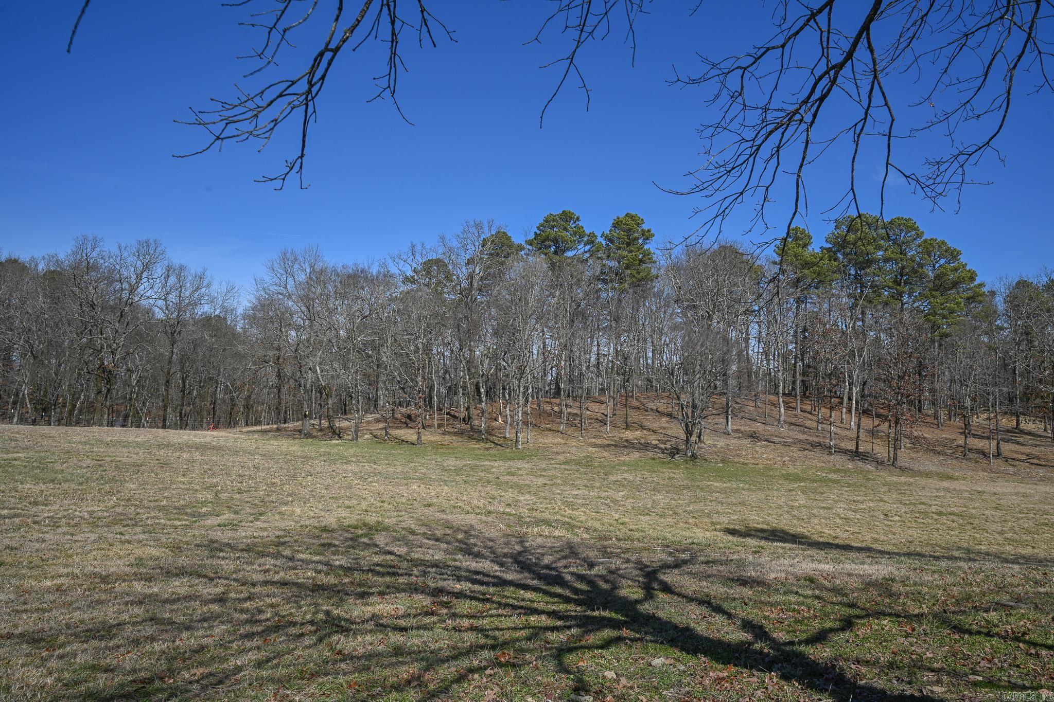 Lot #1 Polk Road 57  Mena, AR