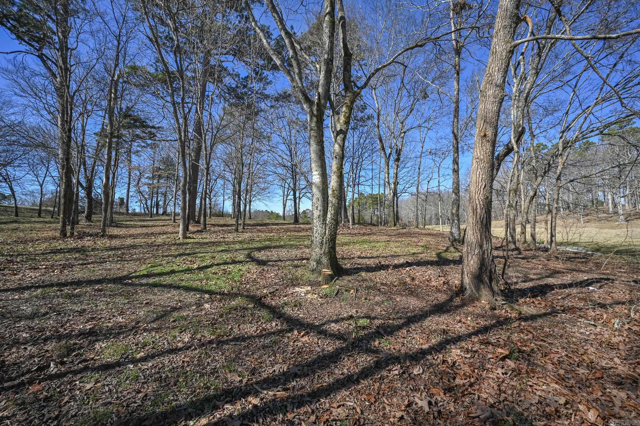 Lot #1 Polk Road 57  Mena, AR