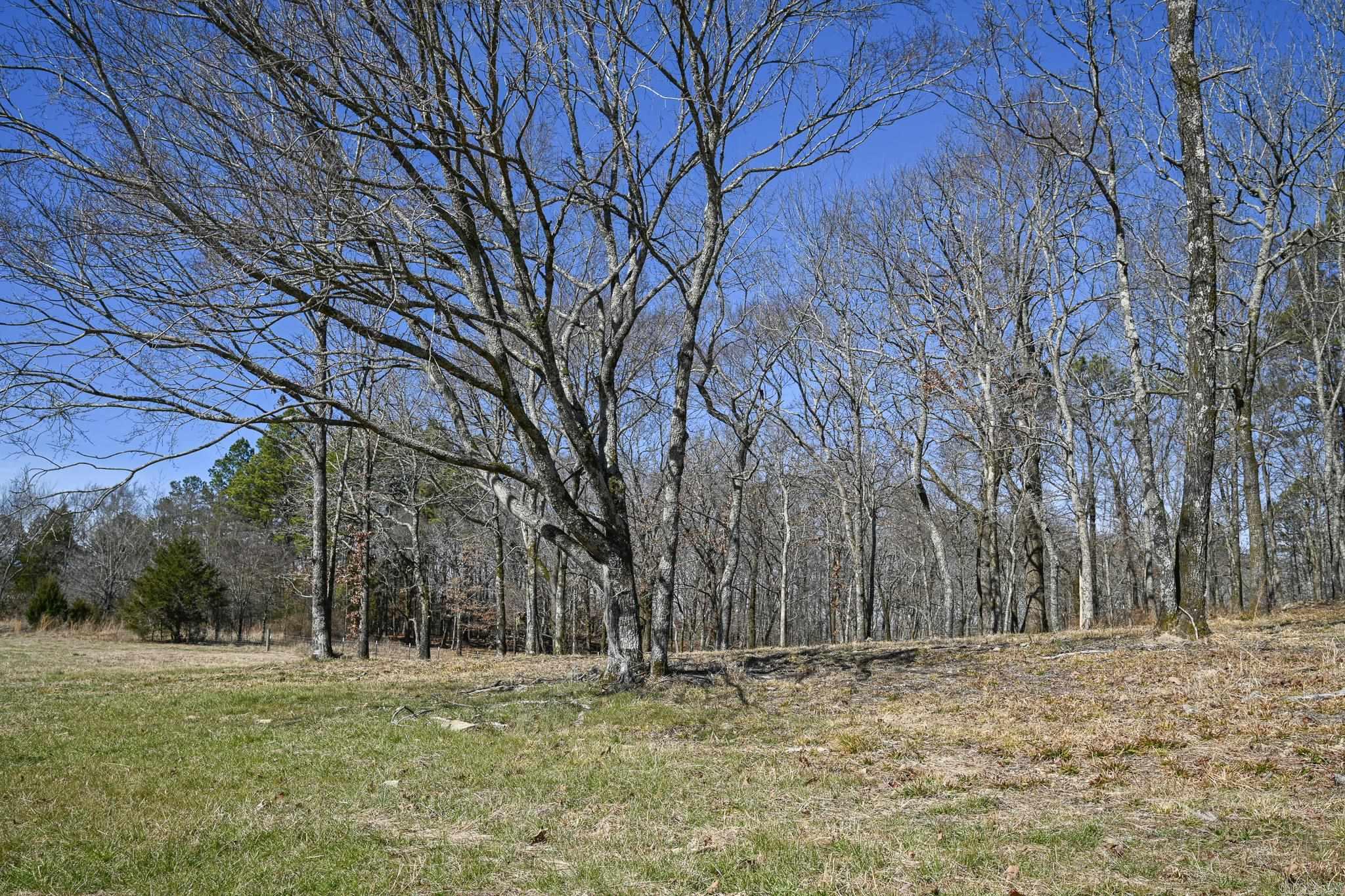 Lot #1 Polk Road 57  Mena, AR