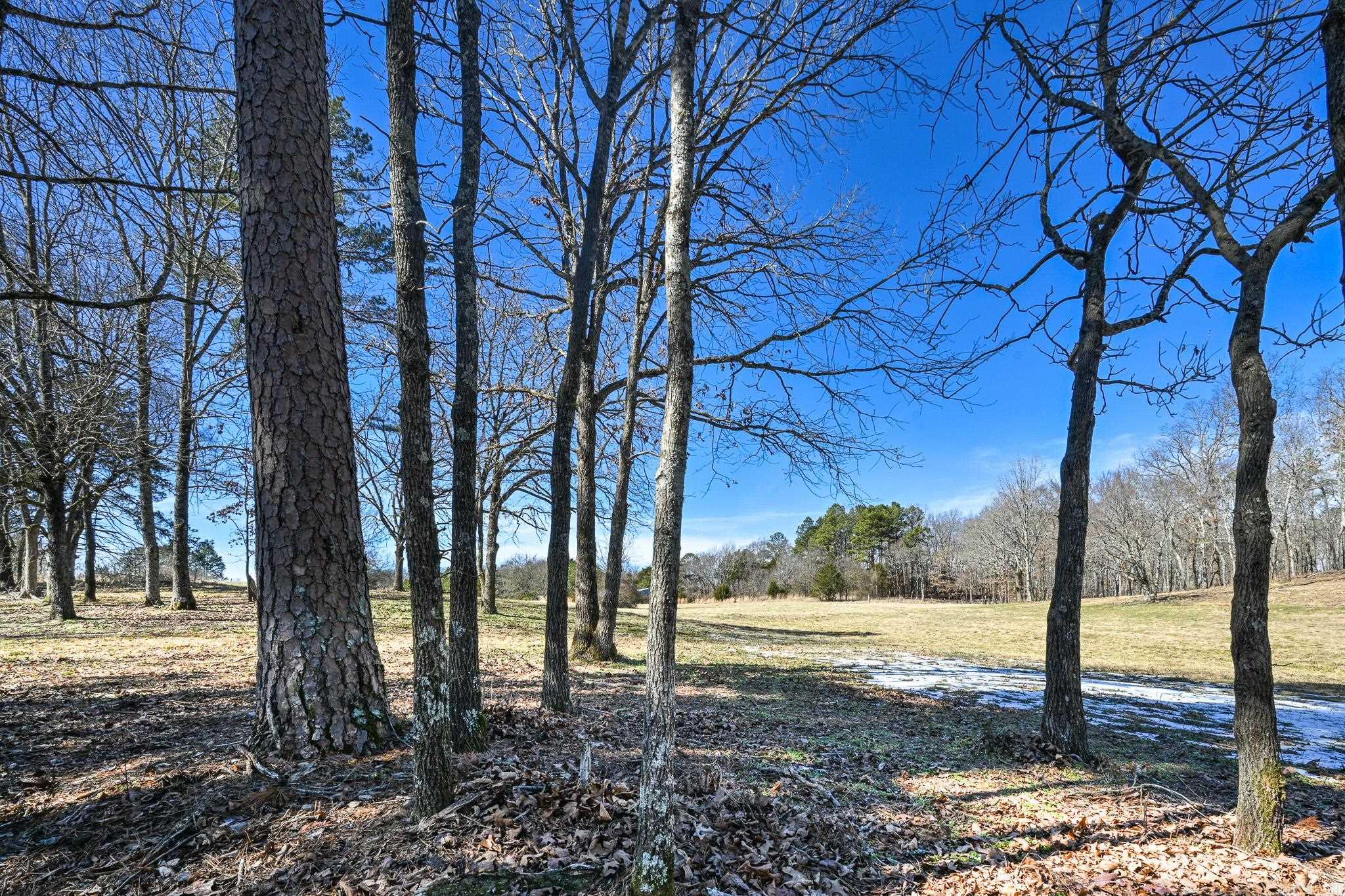 Lot #1 Polk Road 57  Mena, AR