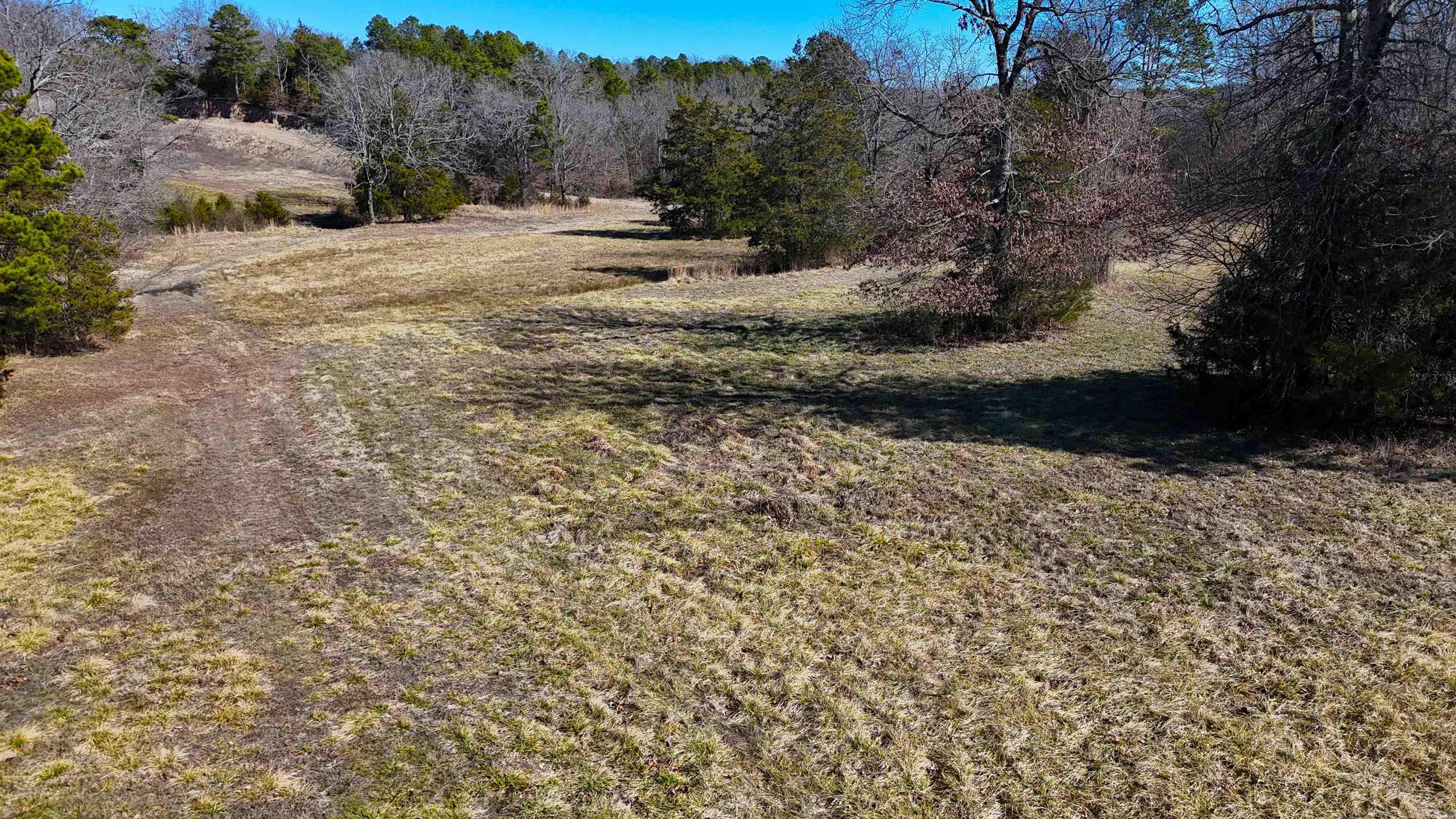 Lot #1 Polk Road 57  Mena, AR