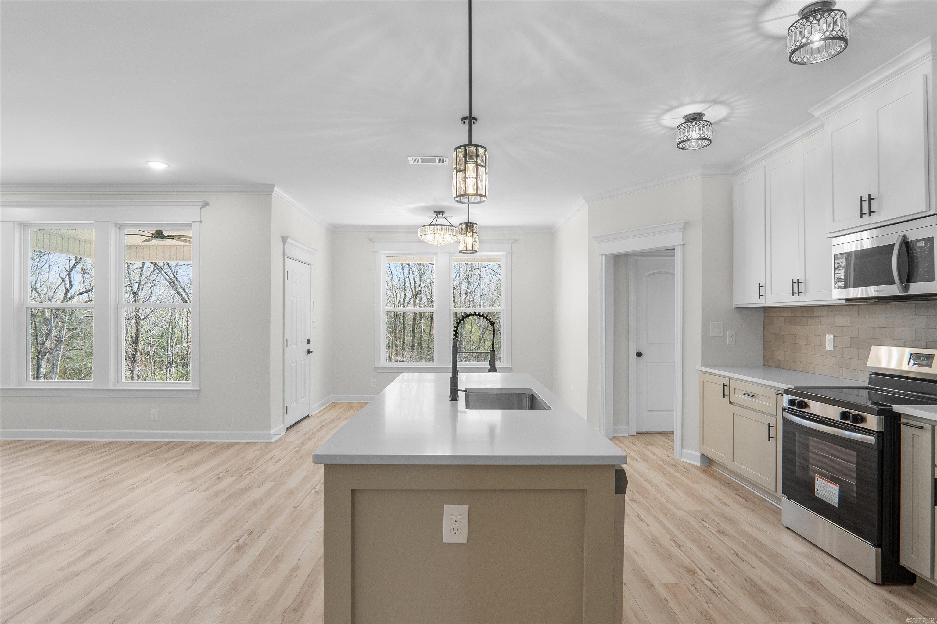 518 Madeleine Circle Austin, AR 72007