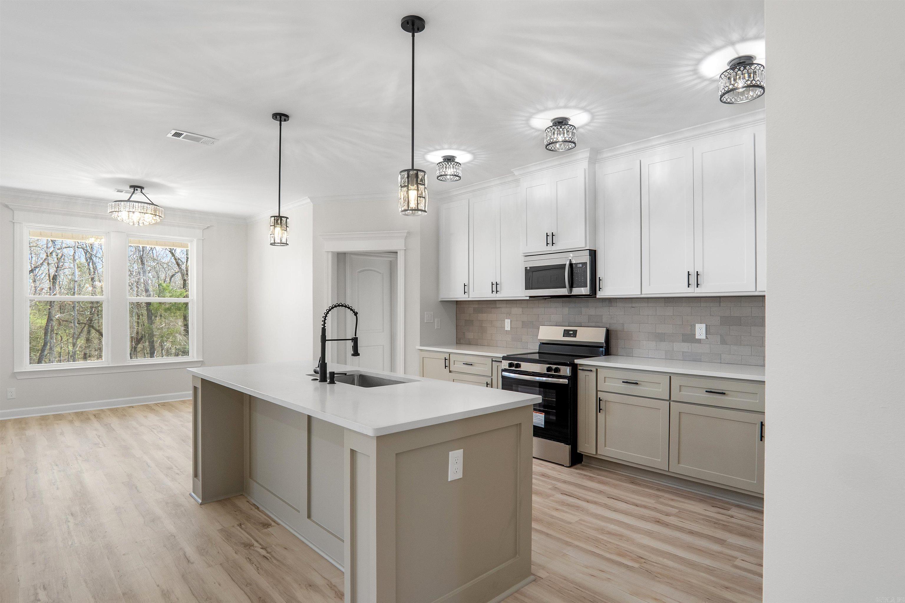 518 Madeleine Circle Austin, AR 72007