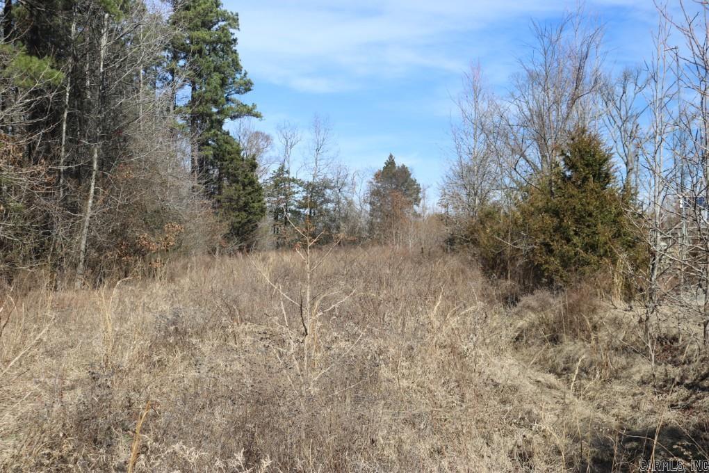 2173 Pleasant Grove  Cleveland, AR