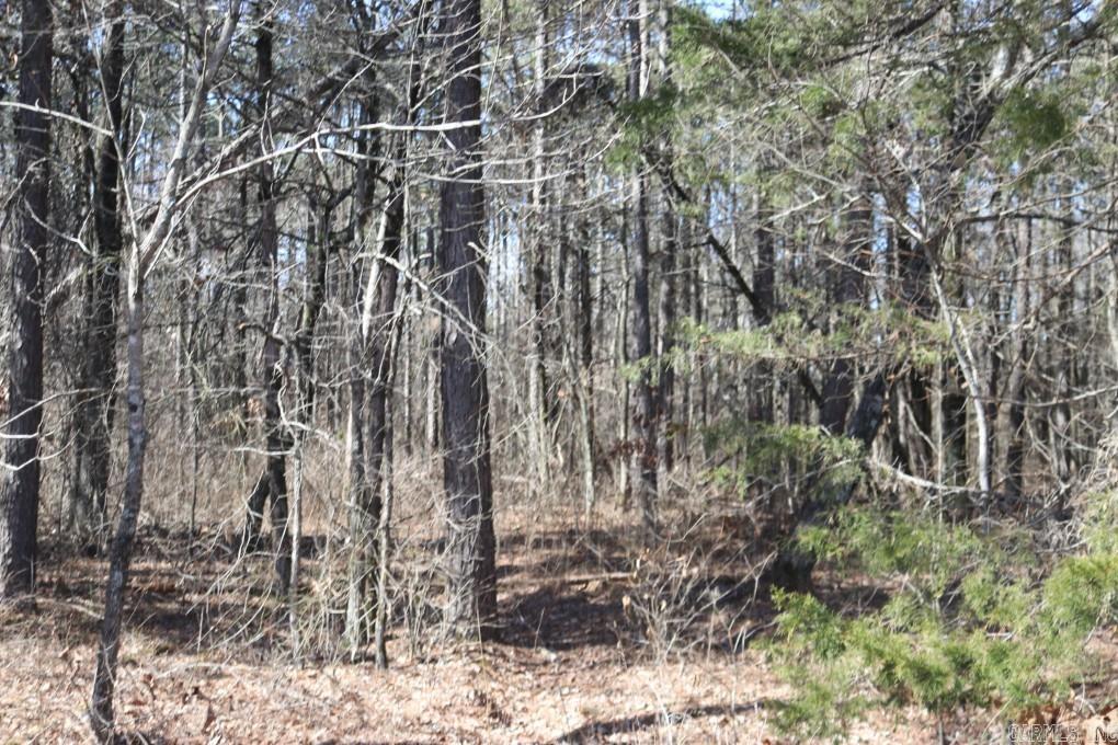 2173 Pleasant Grove  Cleveland, AR