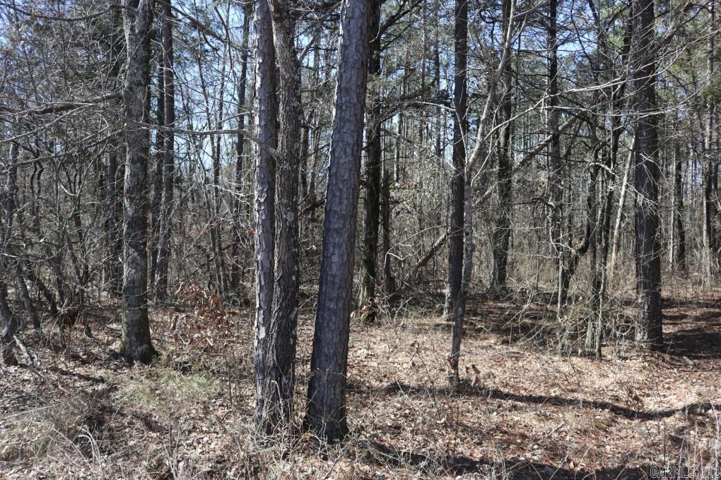 2173 Pleasant Grove  Cleveland, AR