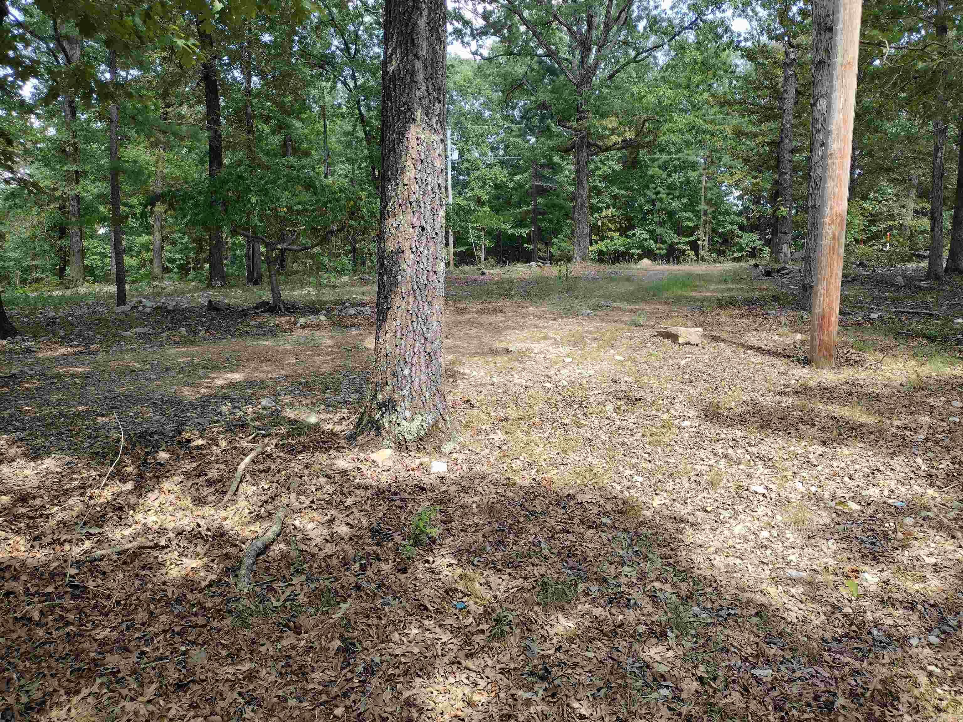 951 Ridge RD  Mountain View, AR