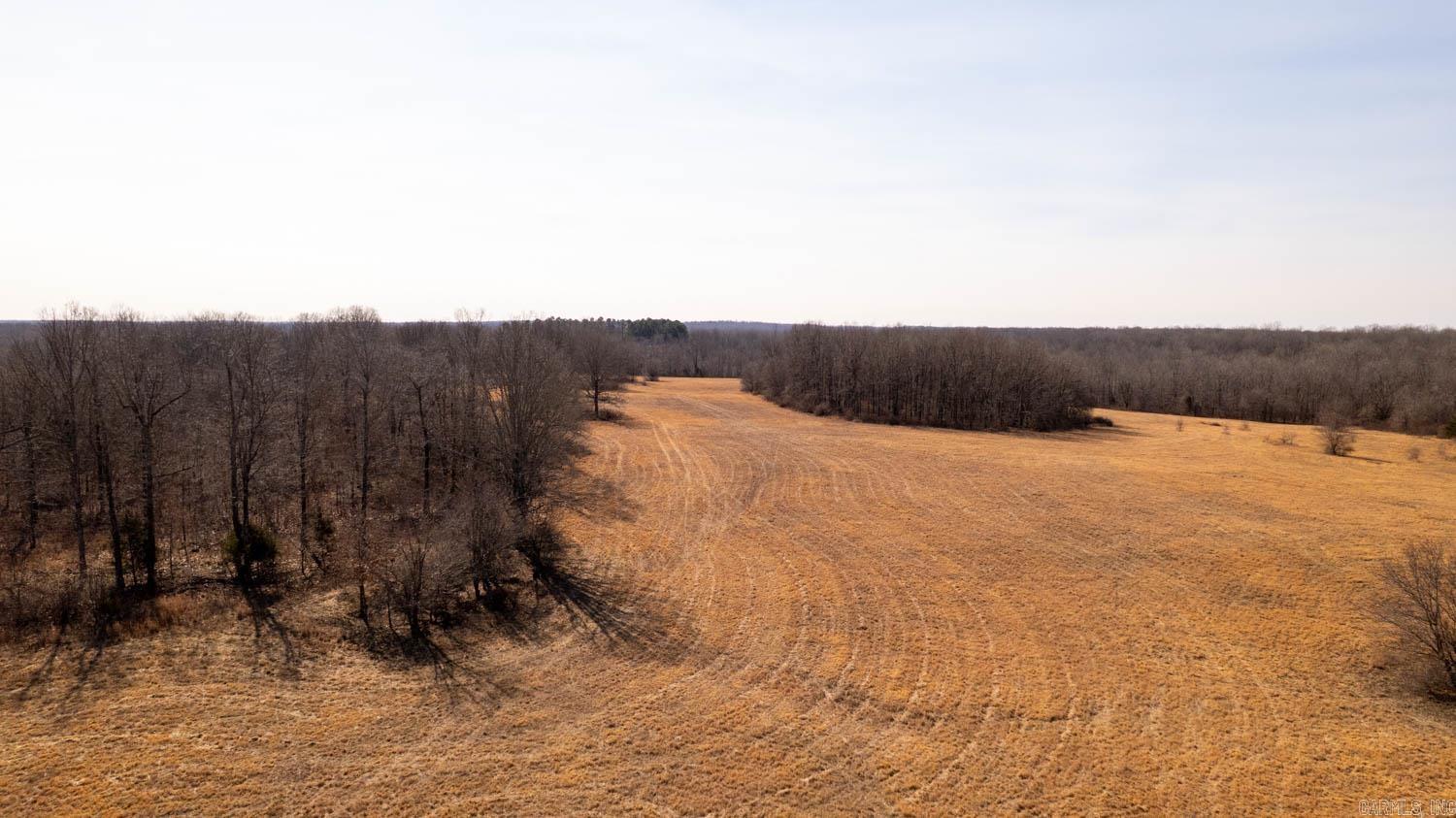 000 Pleasant Run Road  Mammoth Spring, AR