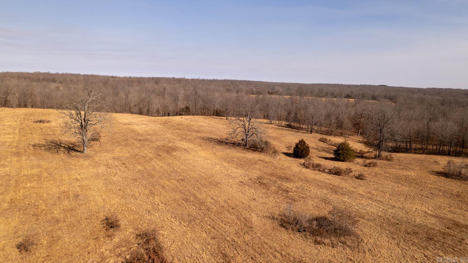 000 Pleasant Run Road  Mammoth Spring, AR
