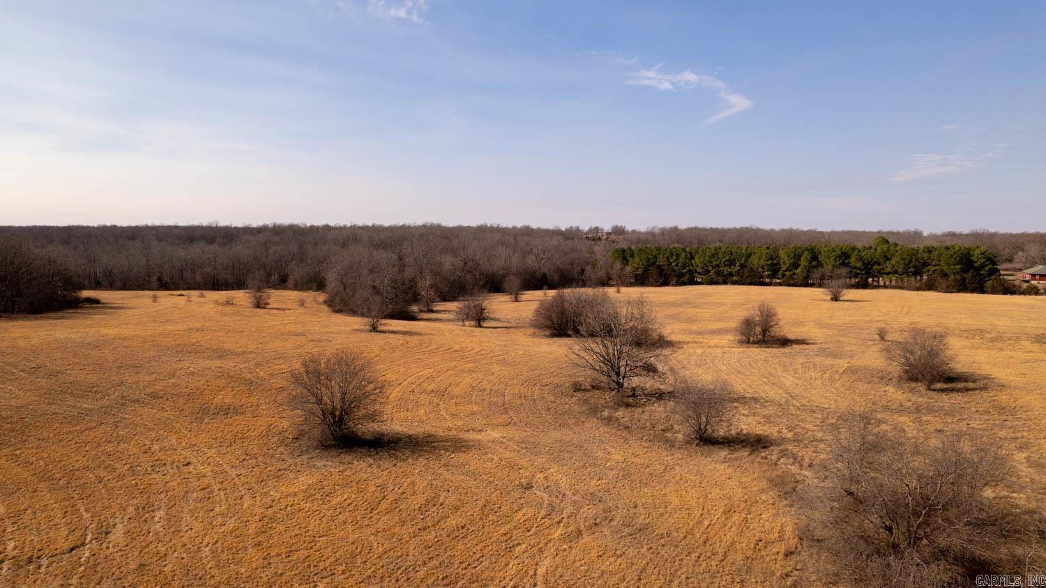 000 Pleasant Run Road  Mammoth Spring, AR
