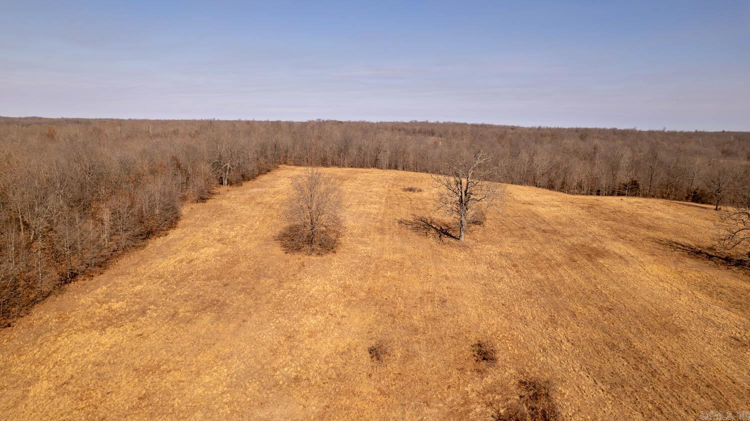 000 Pleasant Run Road  Mammoth Spring, AR