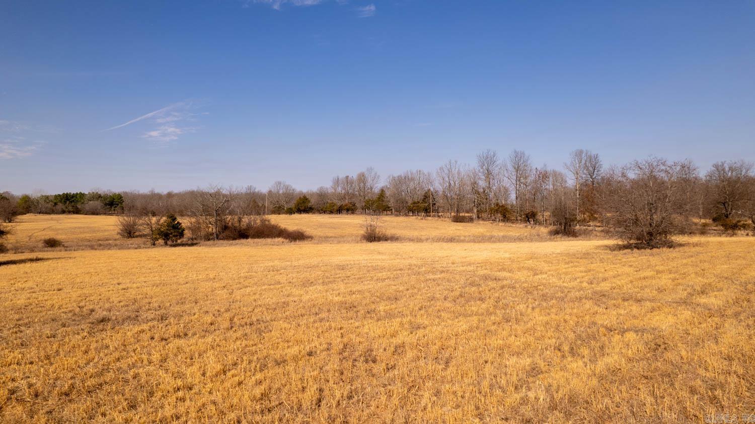 000 Pleasant Run Road  Mammoth Spring, AR