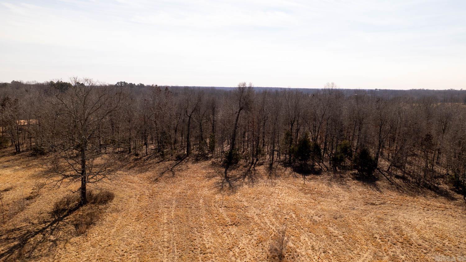 000 Pleasant Run Road  Mammoth Spring, AR