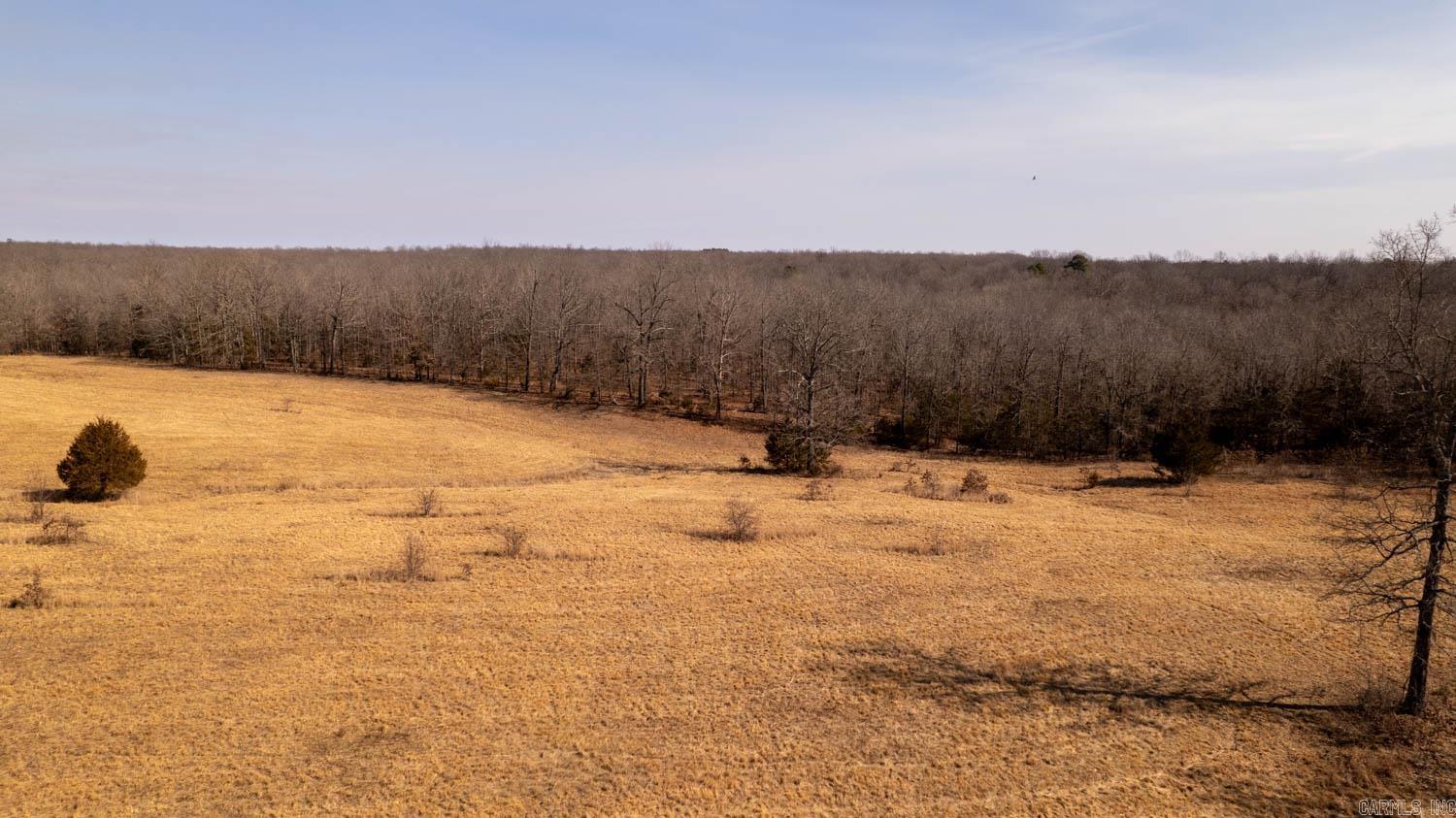 000 Pleasant Run Road  Mammoth Spring, AR