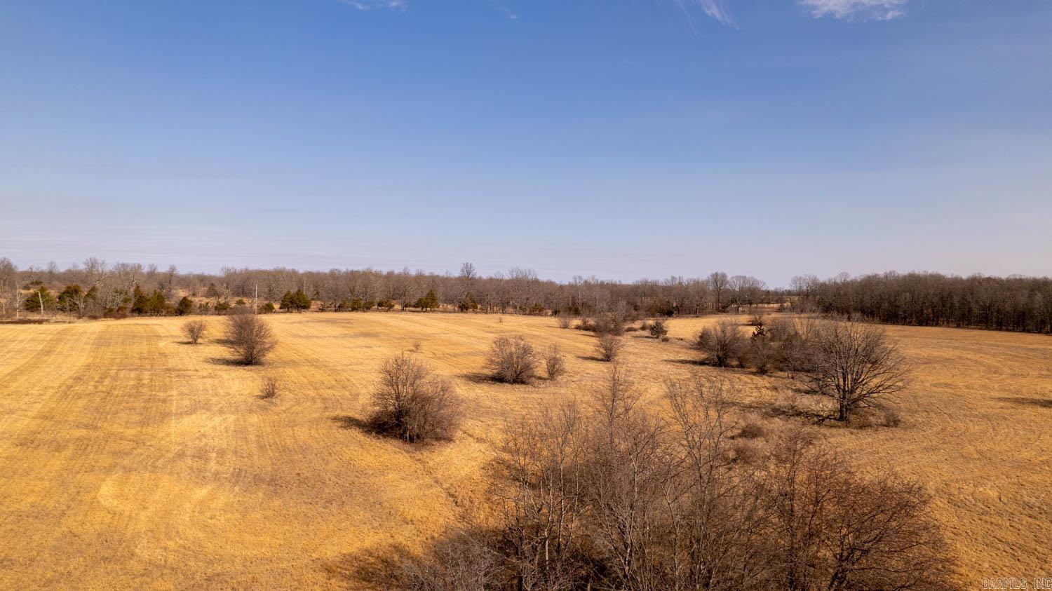 000 Pleasant Run Road  Mammoth Spring, AR