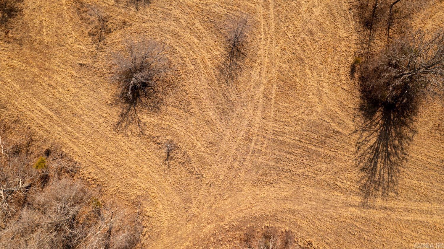 000 Pleasant Run Road  Mammoth Spring, AR