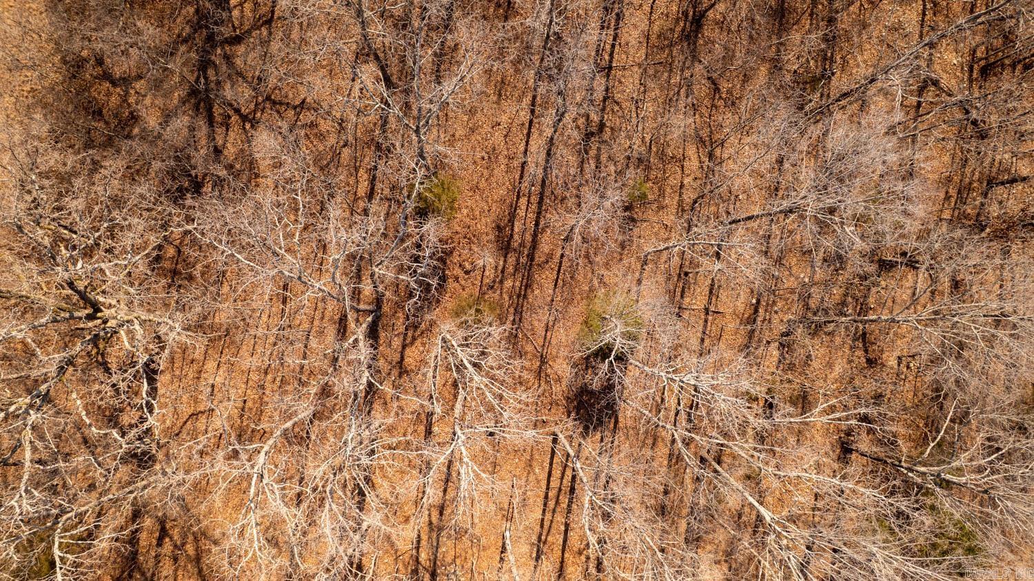 000 Pleasant Run Road  Mammoth Spring, AR