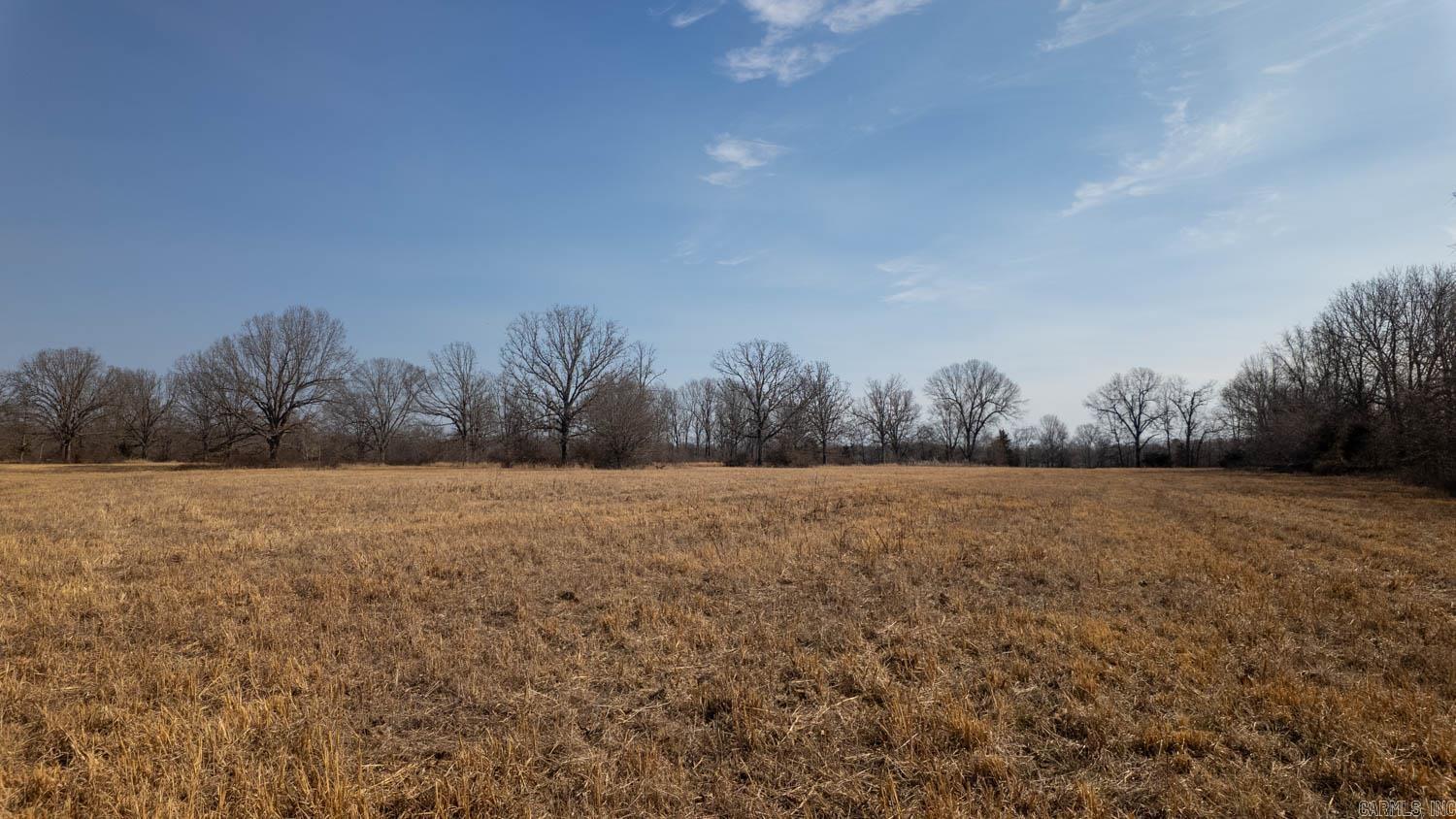 000 Pleasant Run Road  Mammoth Spring, AR