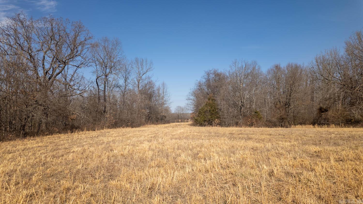 000 Pleasant Run Road  Mammoth Spring, AR