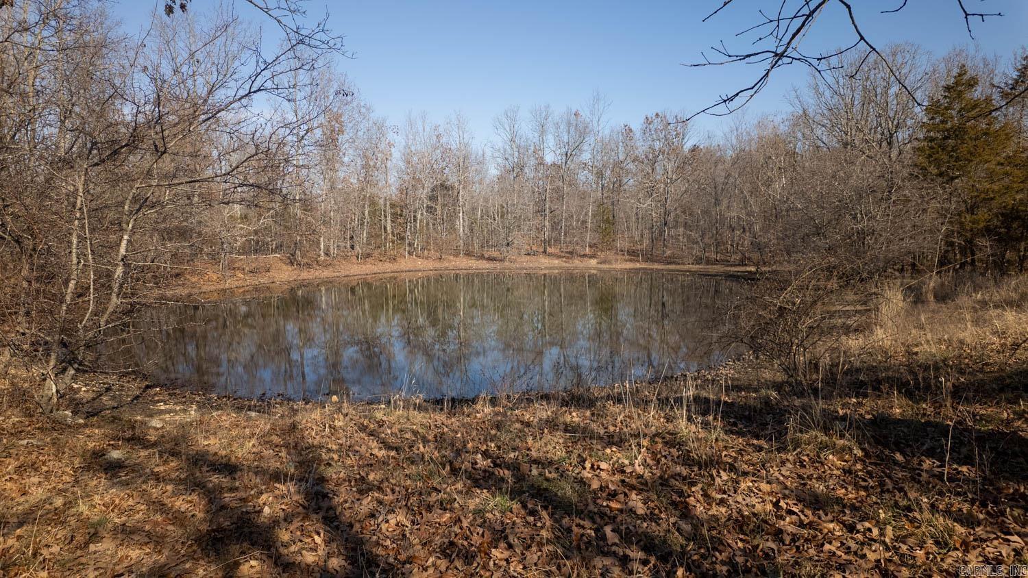 000 Pleasant Run Road  Mammoth Spring, AR