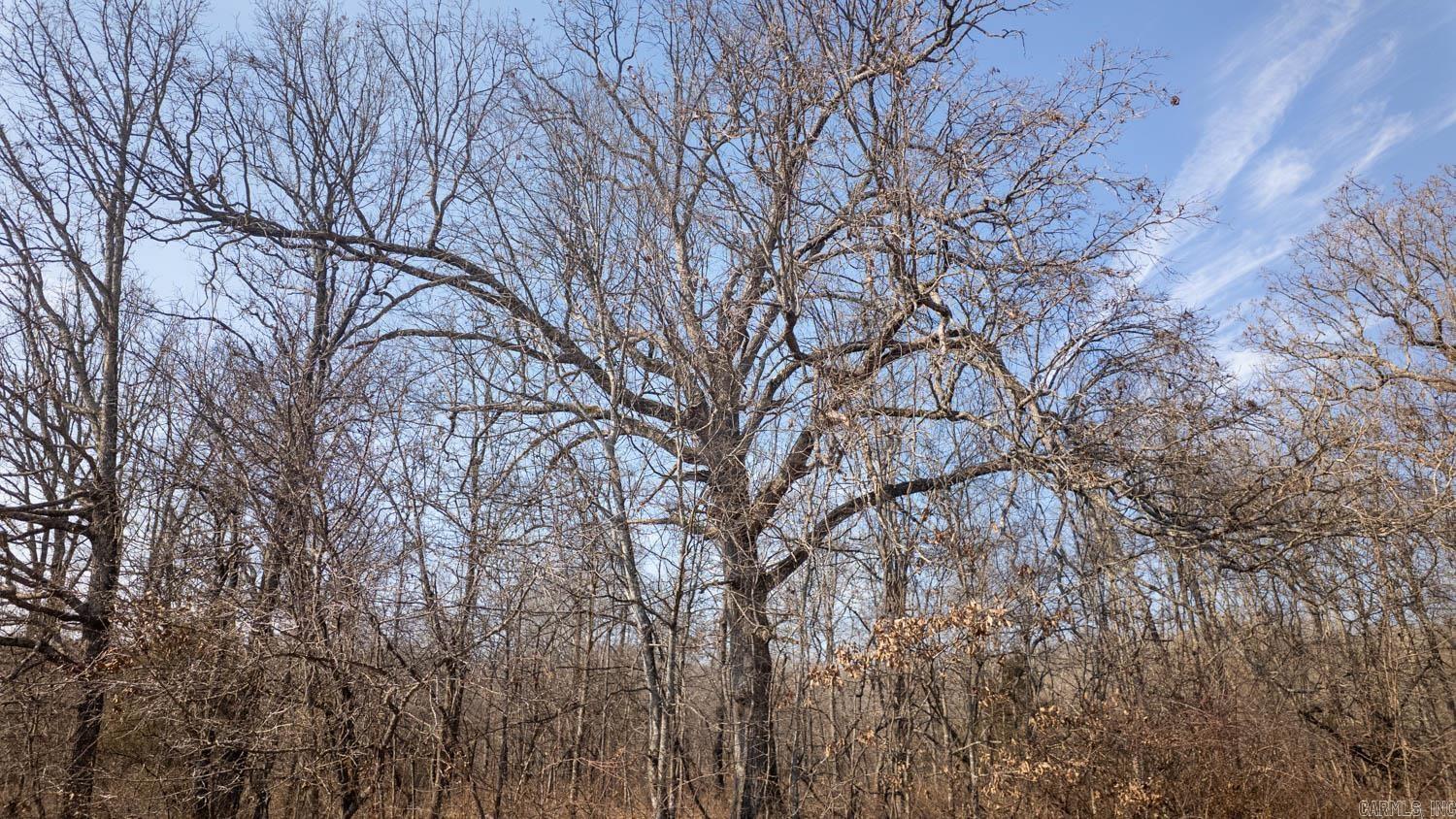 000 Pleasant Run Road  Mammoth Spring, AR