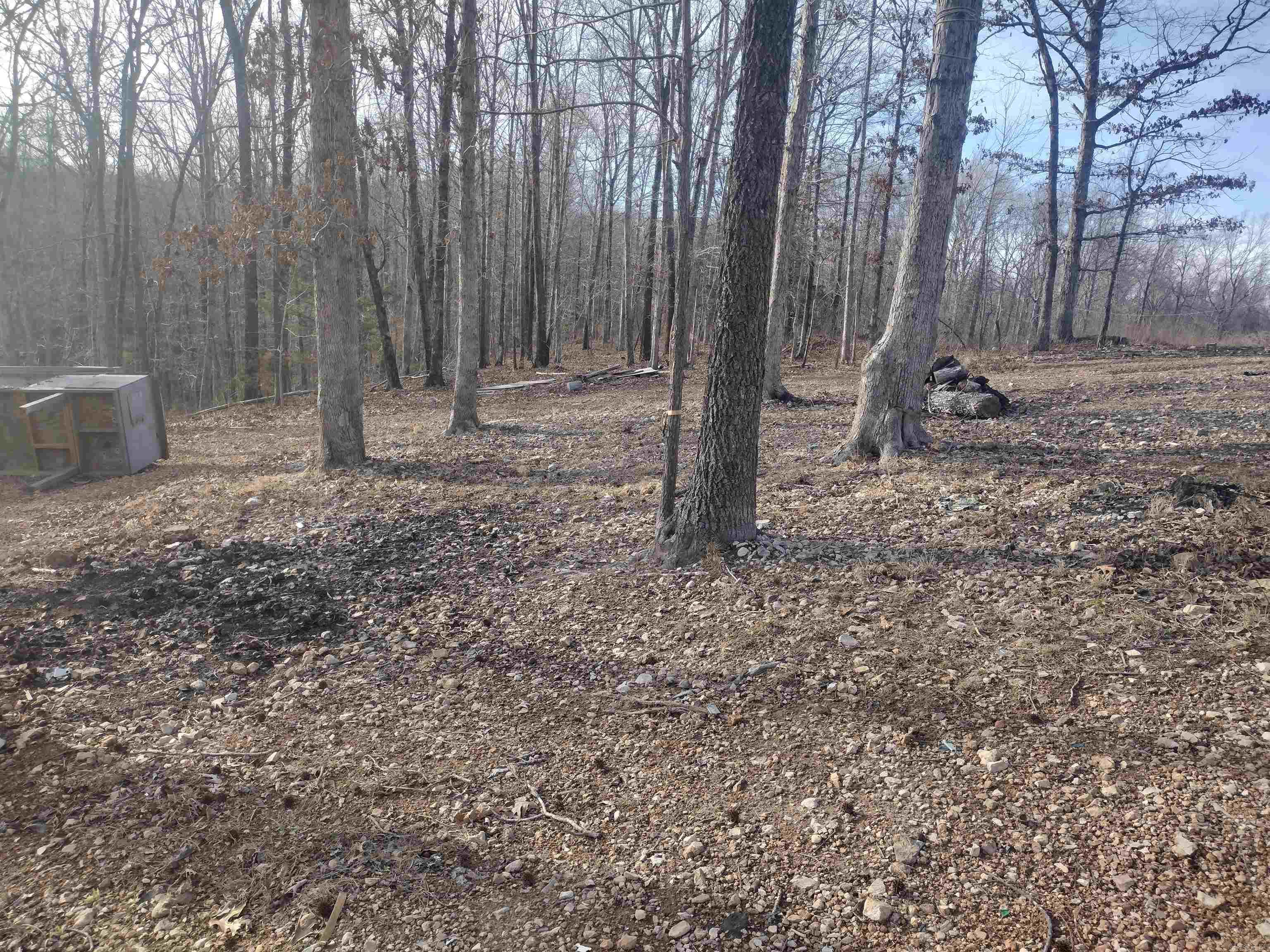 419 Foll LP  Mountain View, AR