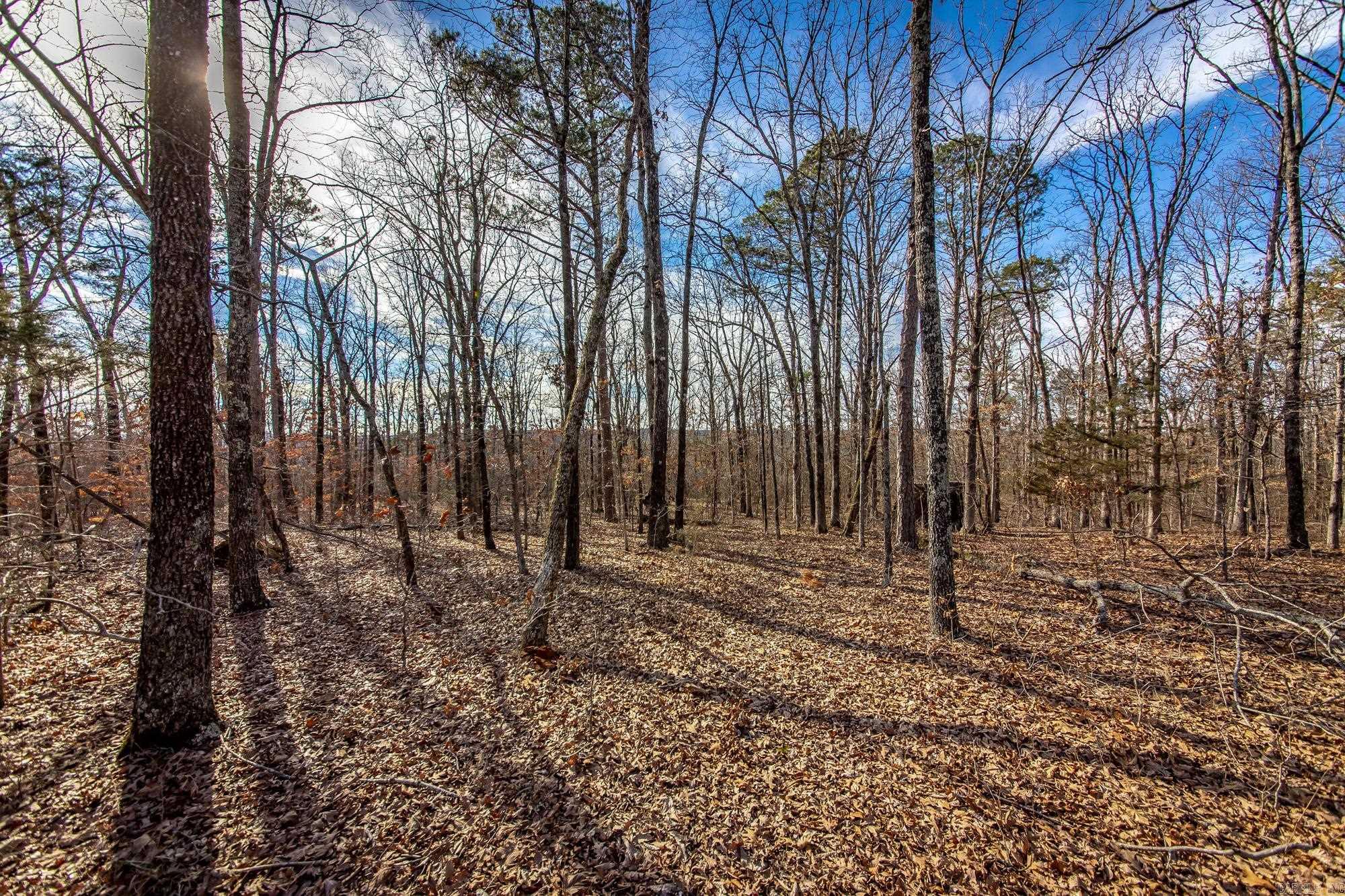 2882 Porter  Shirley, AR