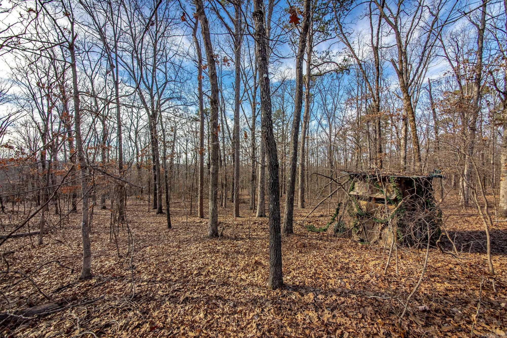 2882 Porter  Shirley, AR