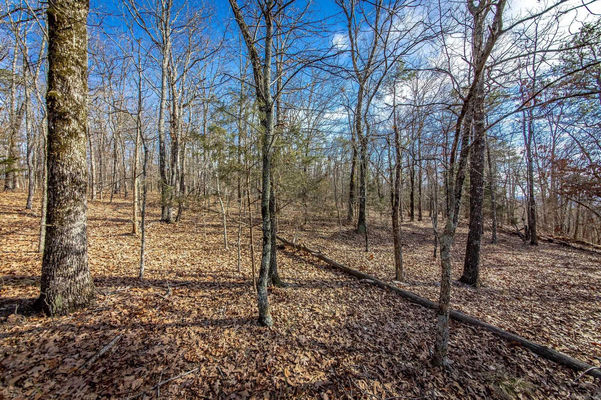 2882 Porter  Shirley, AR