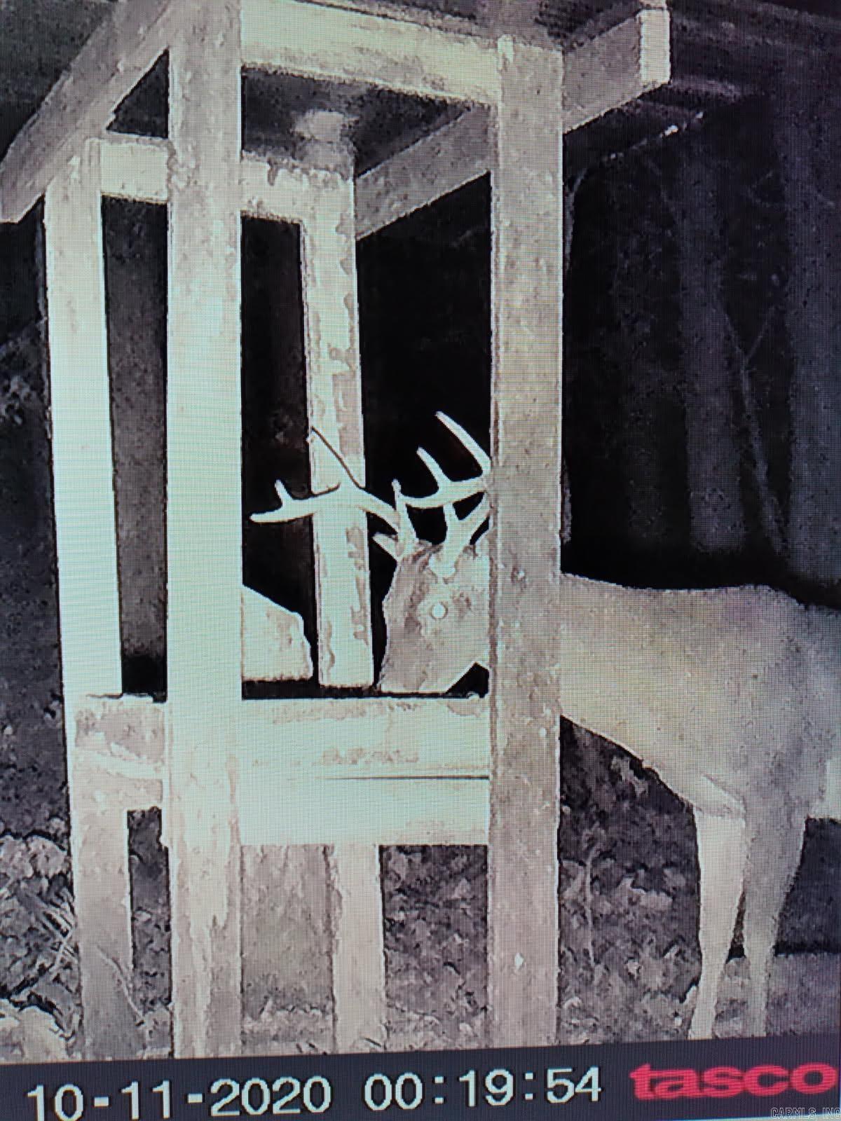 2882 Porter  Shirley, AR